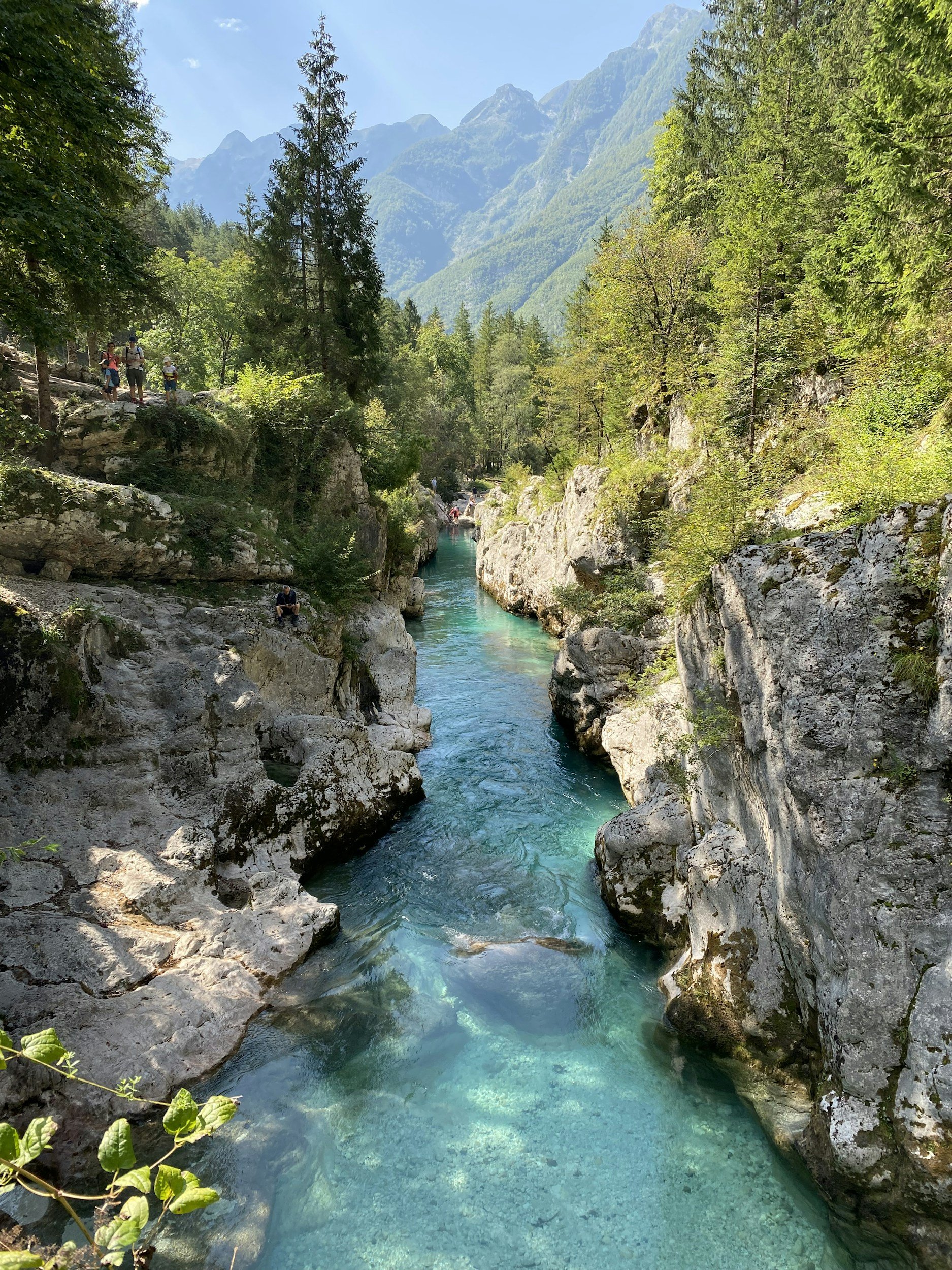 A clear blue river flowing through a rocky canyon with green trees on both sides and mountains in the background.