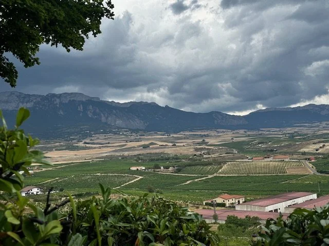 Don’t sleep on Spanish wines!