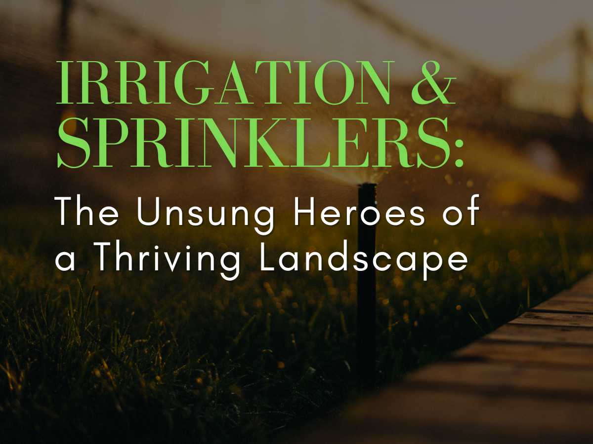 Irrigation and Sprinklers: The Unsung Heroes of a Thriving Landscape
