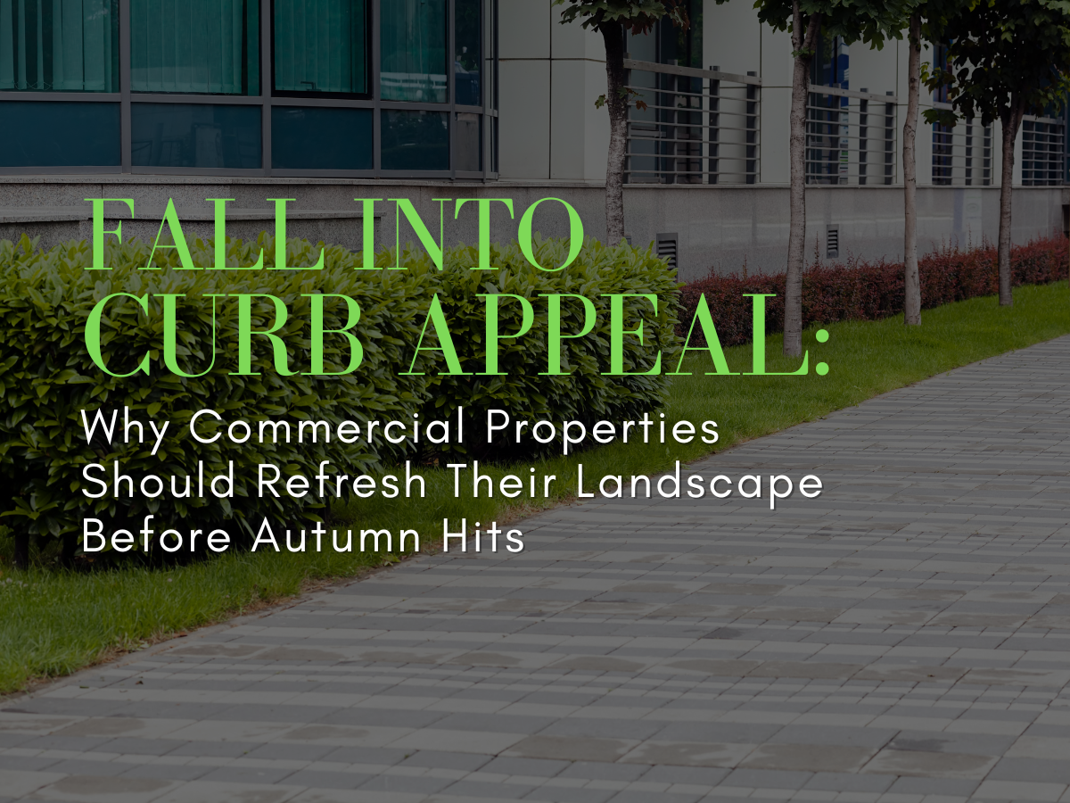 Fall Into Curb Appeal: Why Commercial Properties Should Refresh Their Landscape Before Autumn Hits