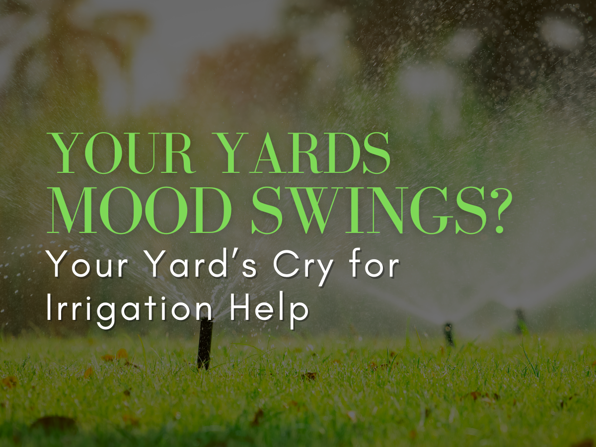 Your Yard’s Mood Swings? Probably an Irrigation Issue