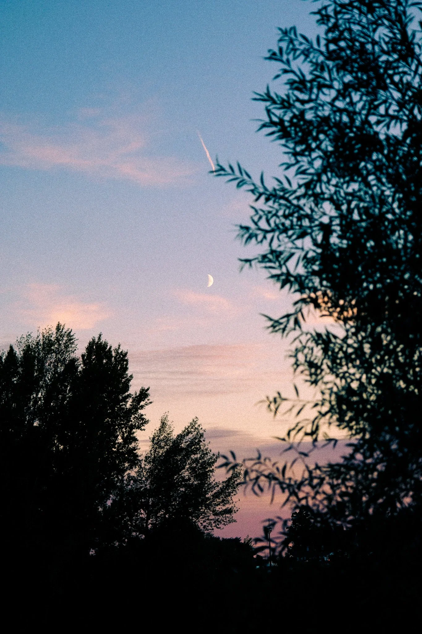 _DSF4361.jpg