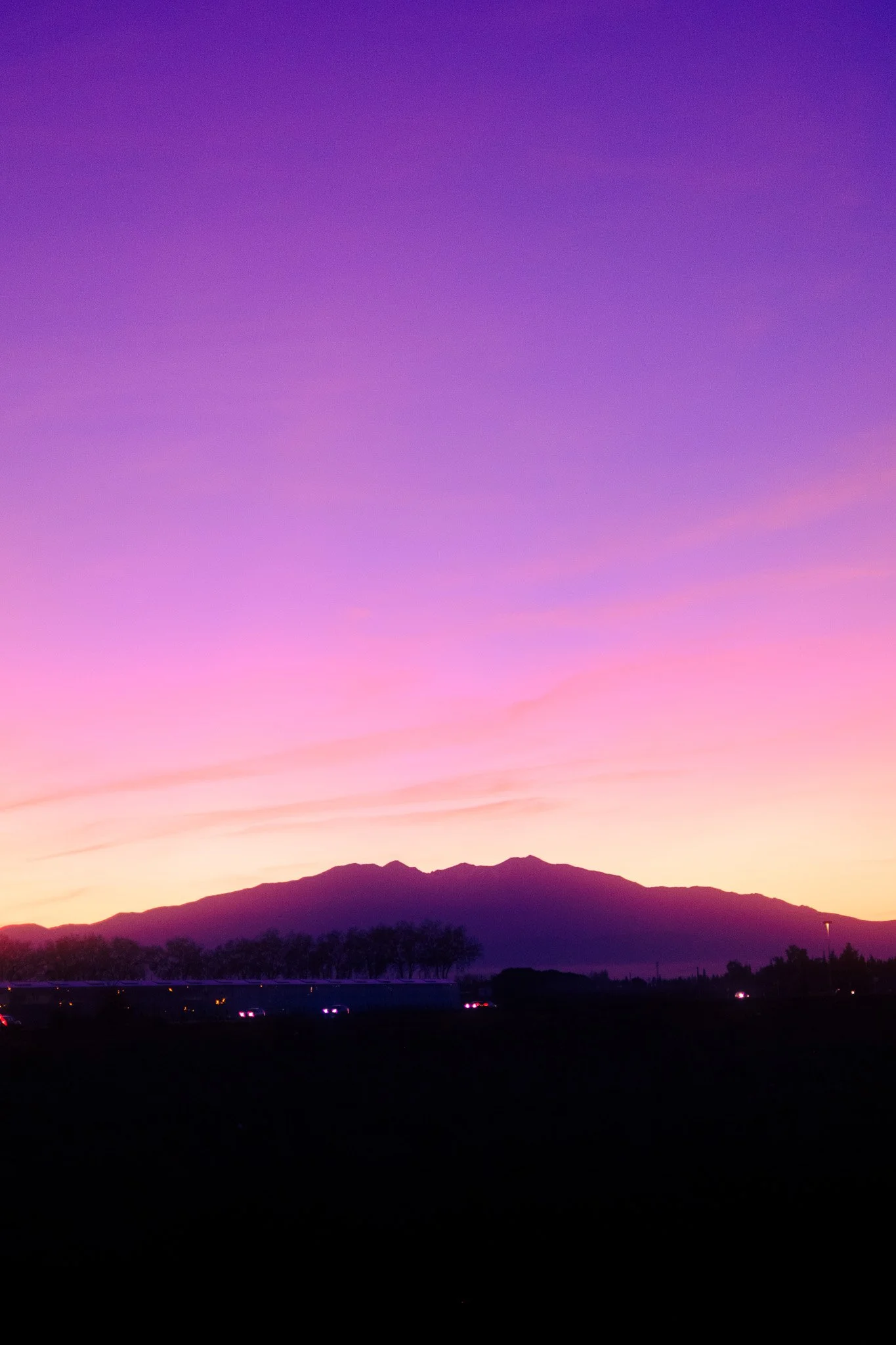 _DSF0270.jpg