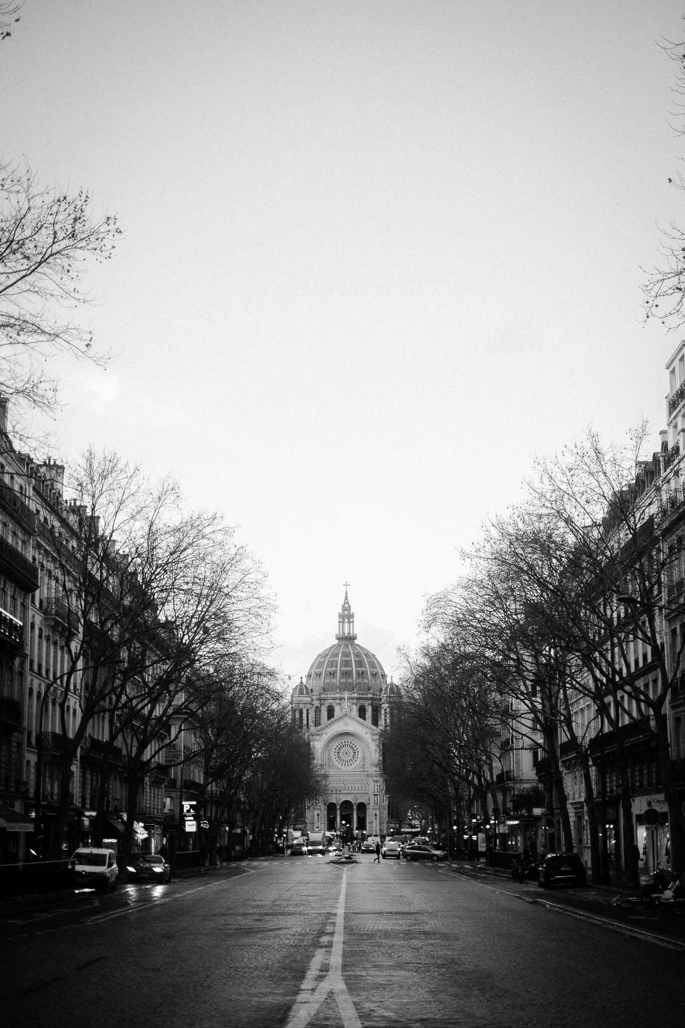 _DSF9497.jpg