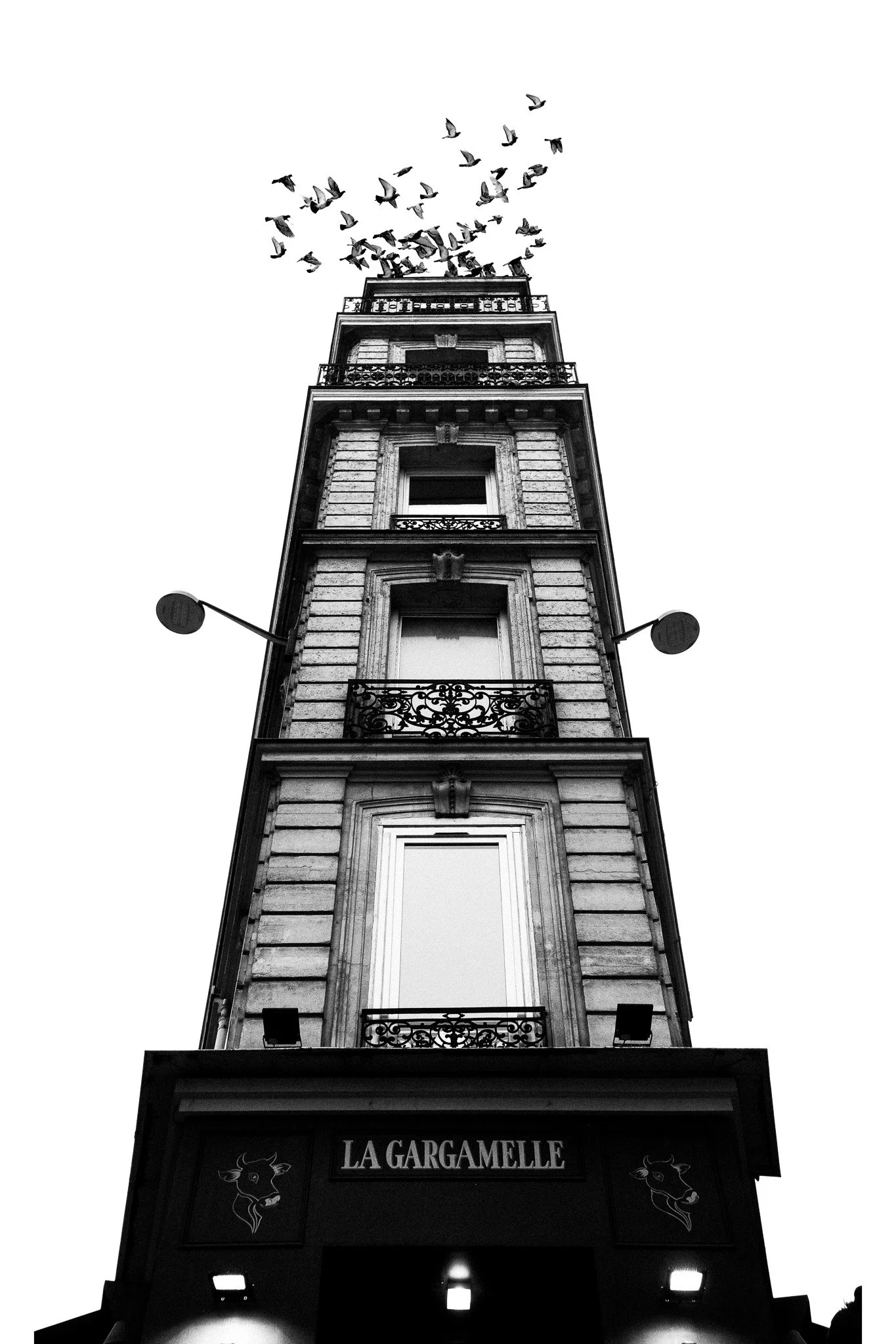 Une photo en noir et blanc d'un bâtiment à plusieurs étages avec des balcons en fer forgé, et un groupe de pigeons volant au sommet. La façade du bâtiment affiche une enseigne 'LA GARGAMELLE' avec une illustration d'une tête de cerf.