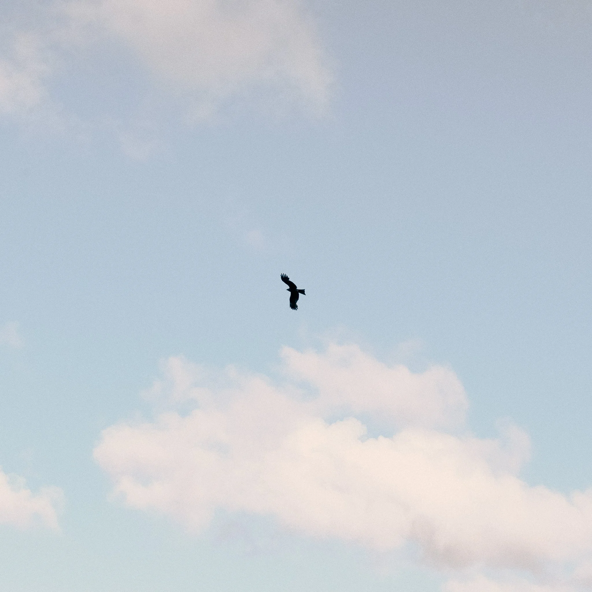 1658403265933.jpg