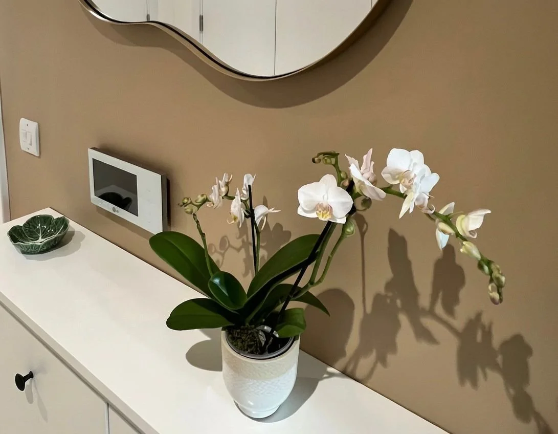 Styled console table with white orchid and organic mirror, Battersea London interior design by Rodolfo Falcao