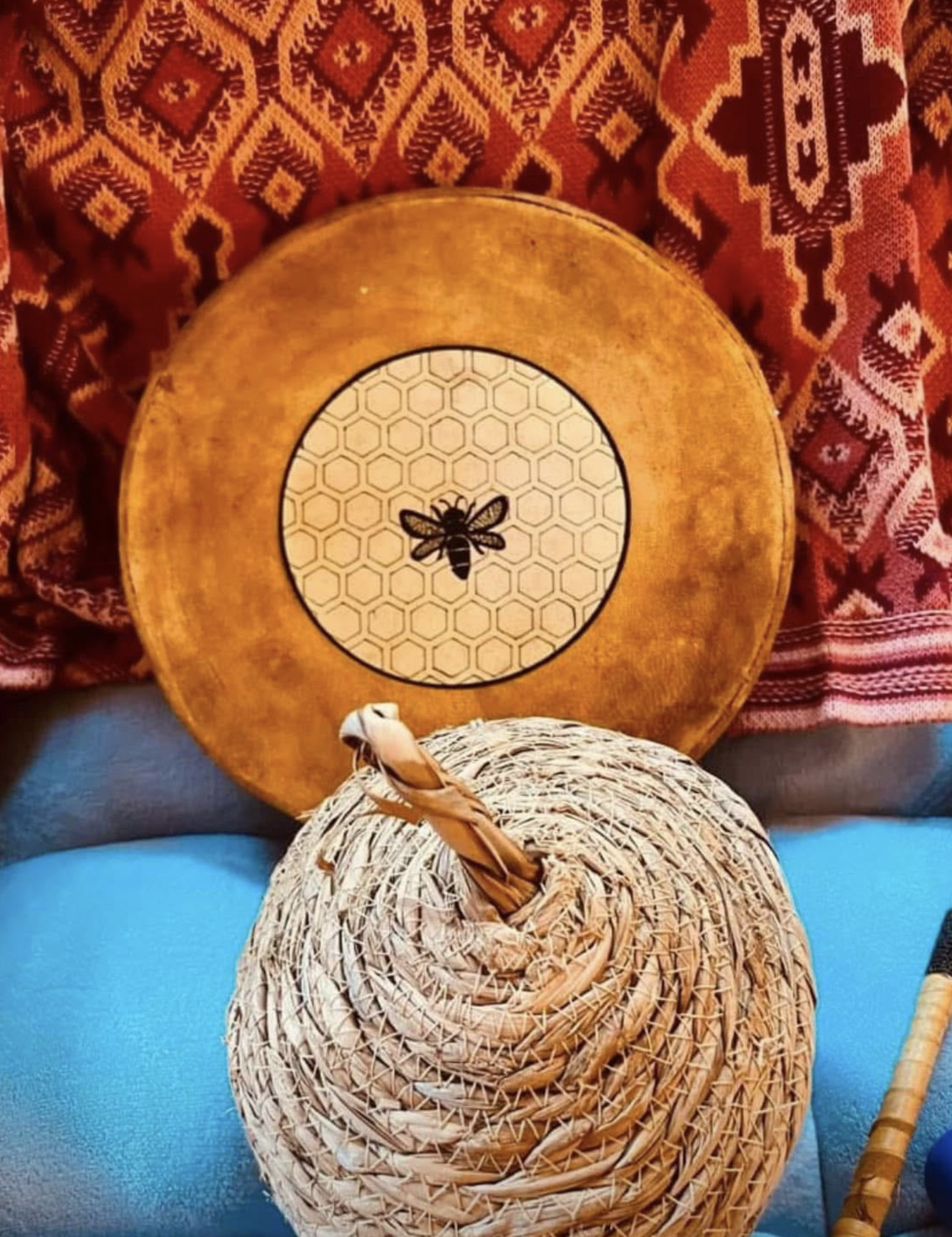 My Journey with the Bees