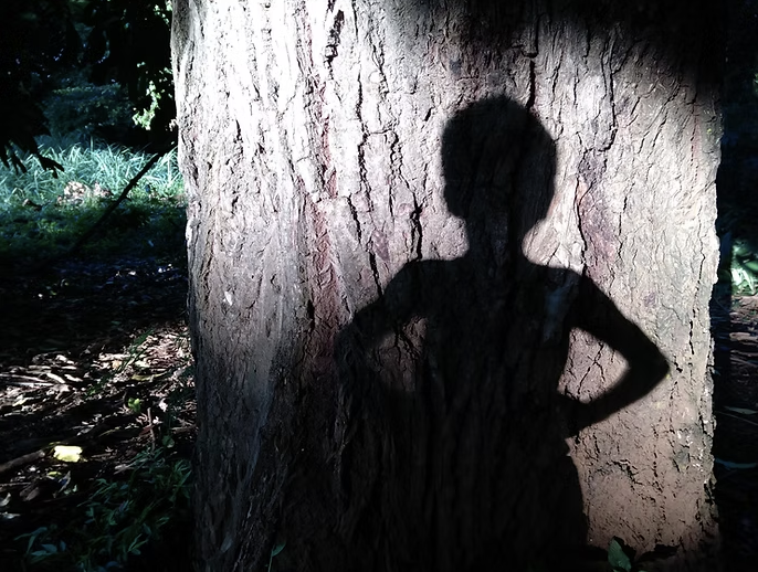 Dream Work in Literature- Peter Pan- Part 2- Peter's Shadow