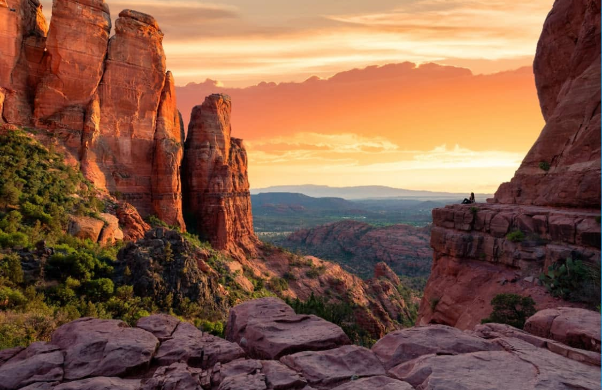 Dreaming with Bees Returns to Sedona
