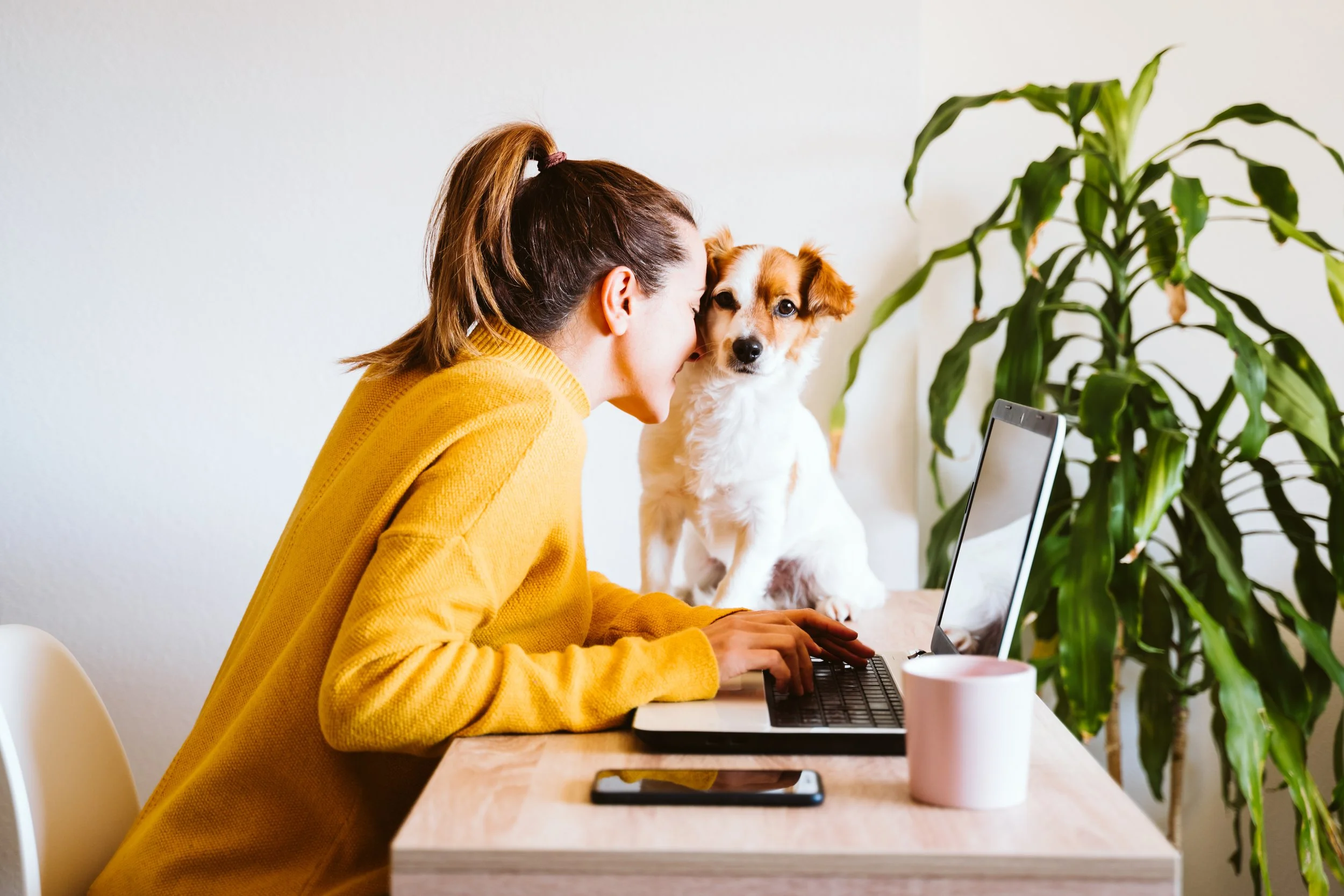 A woman in a yellow sweater sits at a wooden desk using a laptop with a dog beside her. The woman is leaning towards the dog, and the dog looks into the camera. There is a large plant in the background and a smartphone and a pink mug on the desk.