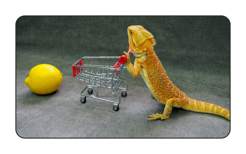 Break free from discount culture by creating a pet business email plan that customers (and margins) will love