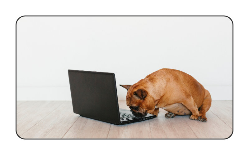 Why your open rates are lying to you (&amp; what to track instead)