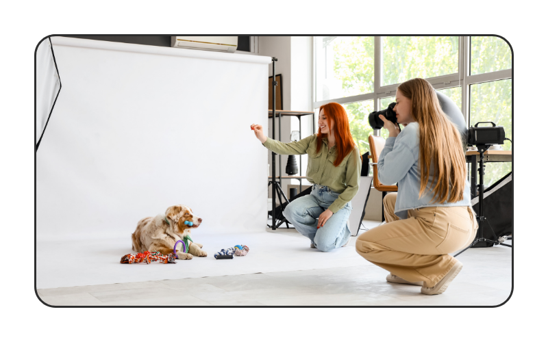 5 email marketing mistakes pet brands can make (&amp; how to fix them)