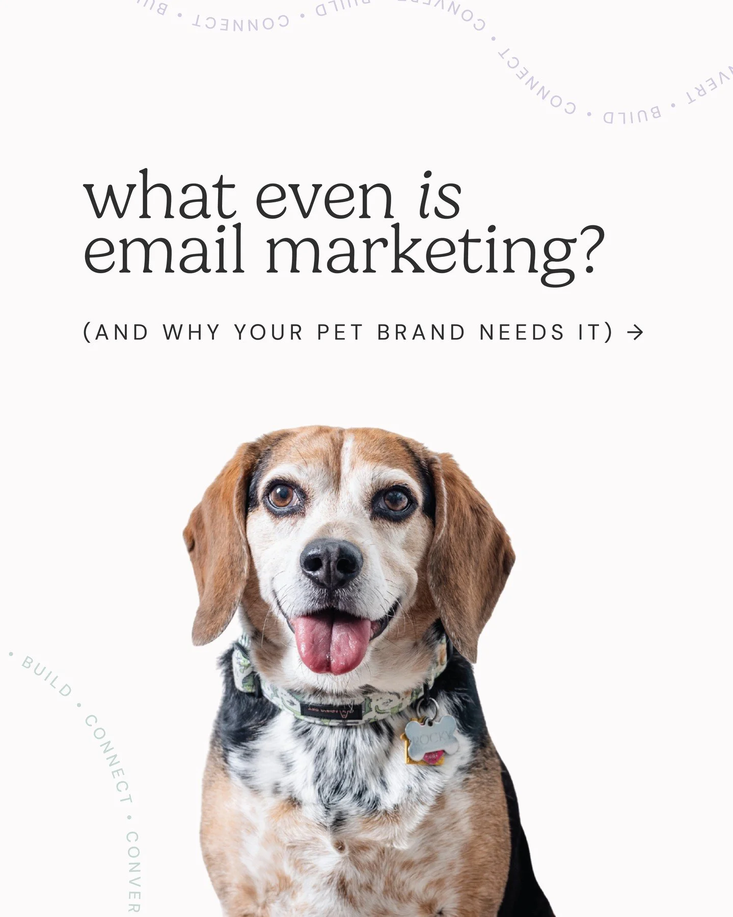 You've probably heard "you need to do email marketing", but what does that actually mean?

Email marketing isn't just sending newsletters - it's building a direct relationship with your customers (one that you own, not an algorithm).

It's 