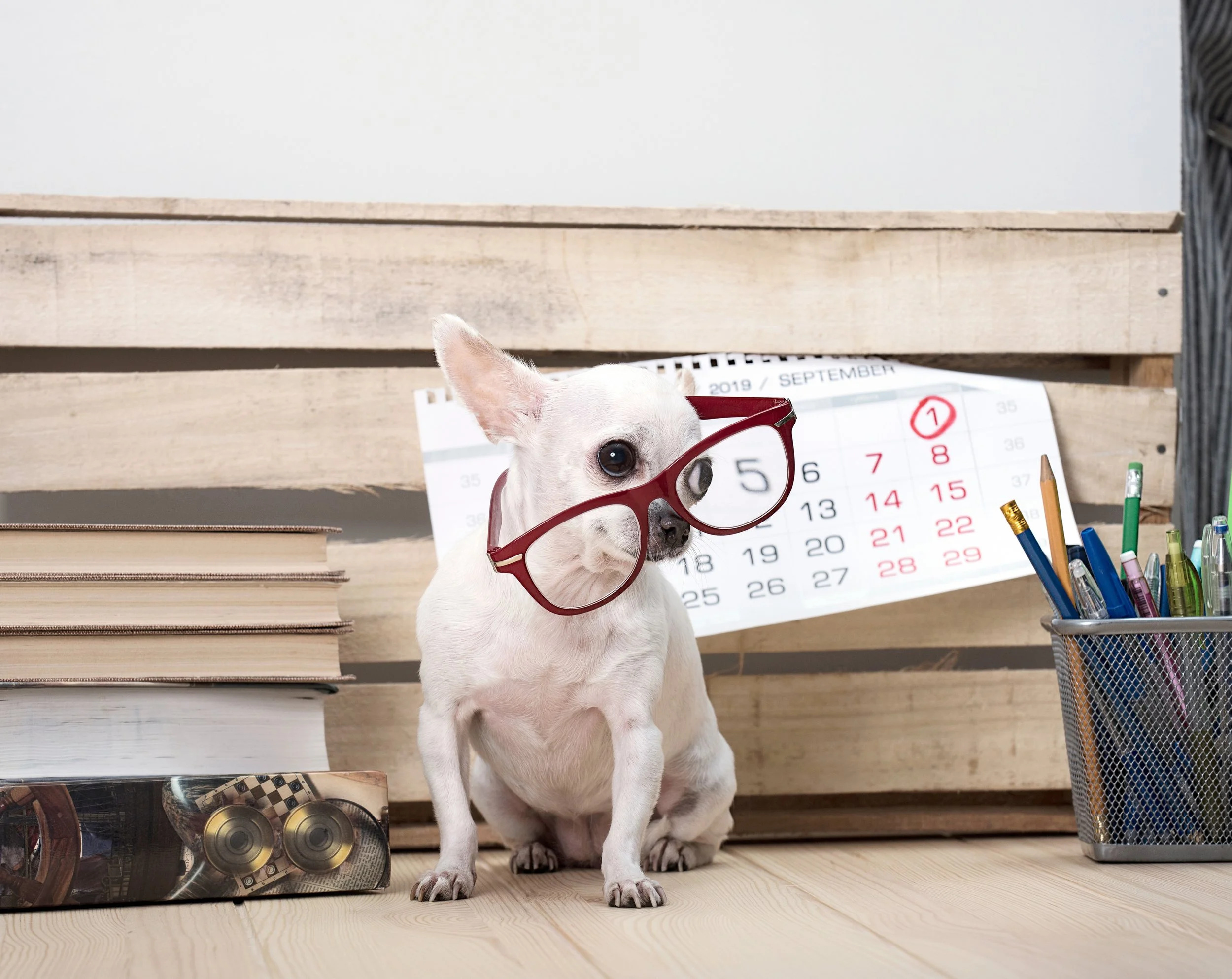 What I actually do at 4 AM (&amp; why is matters for your email strategy)