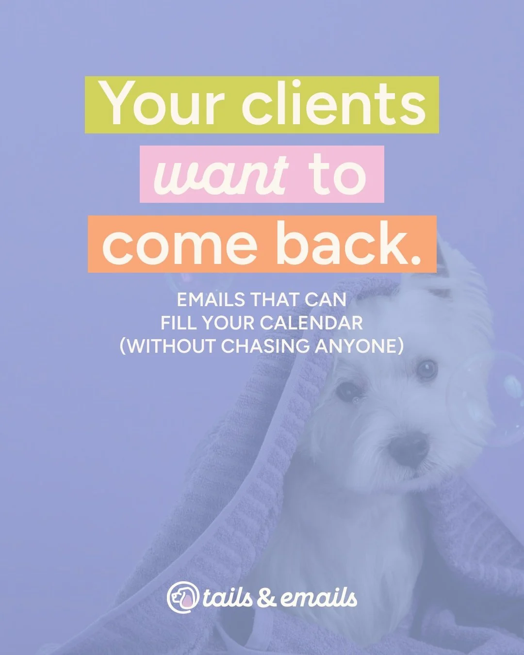 Your clients aren&rsquo;t ghosting you. they&rsquo;re honestly just busy. 🐾

Life gets in the way until their pup looks like a mop and they&rsquo;re scrambling for an appointment. The right emails, sent at the right time, keep you top of mind so boo