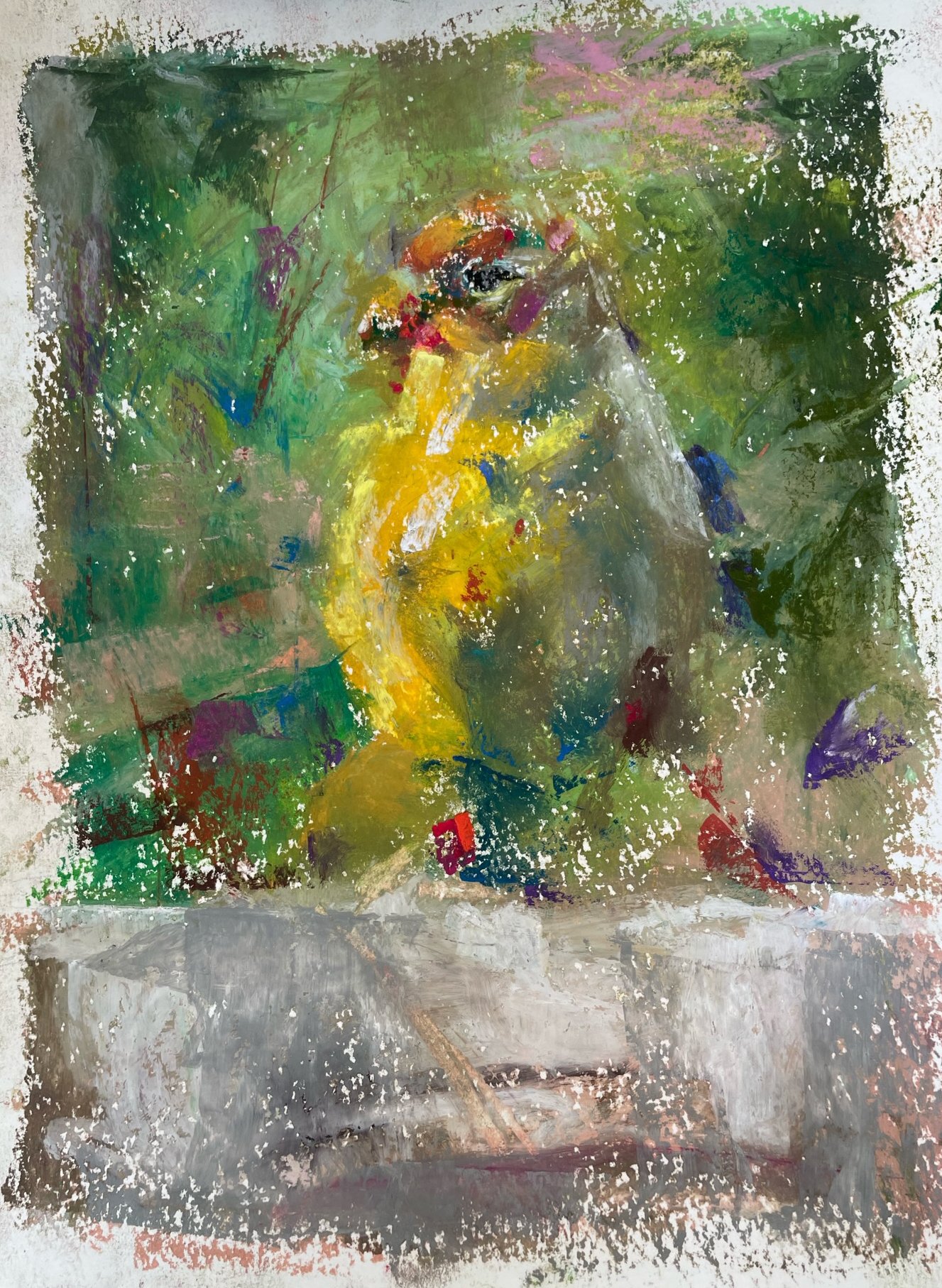 Finch 9x12 inches oil pastel on watercolor paper
