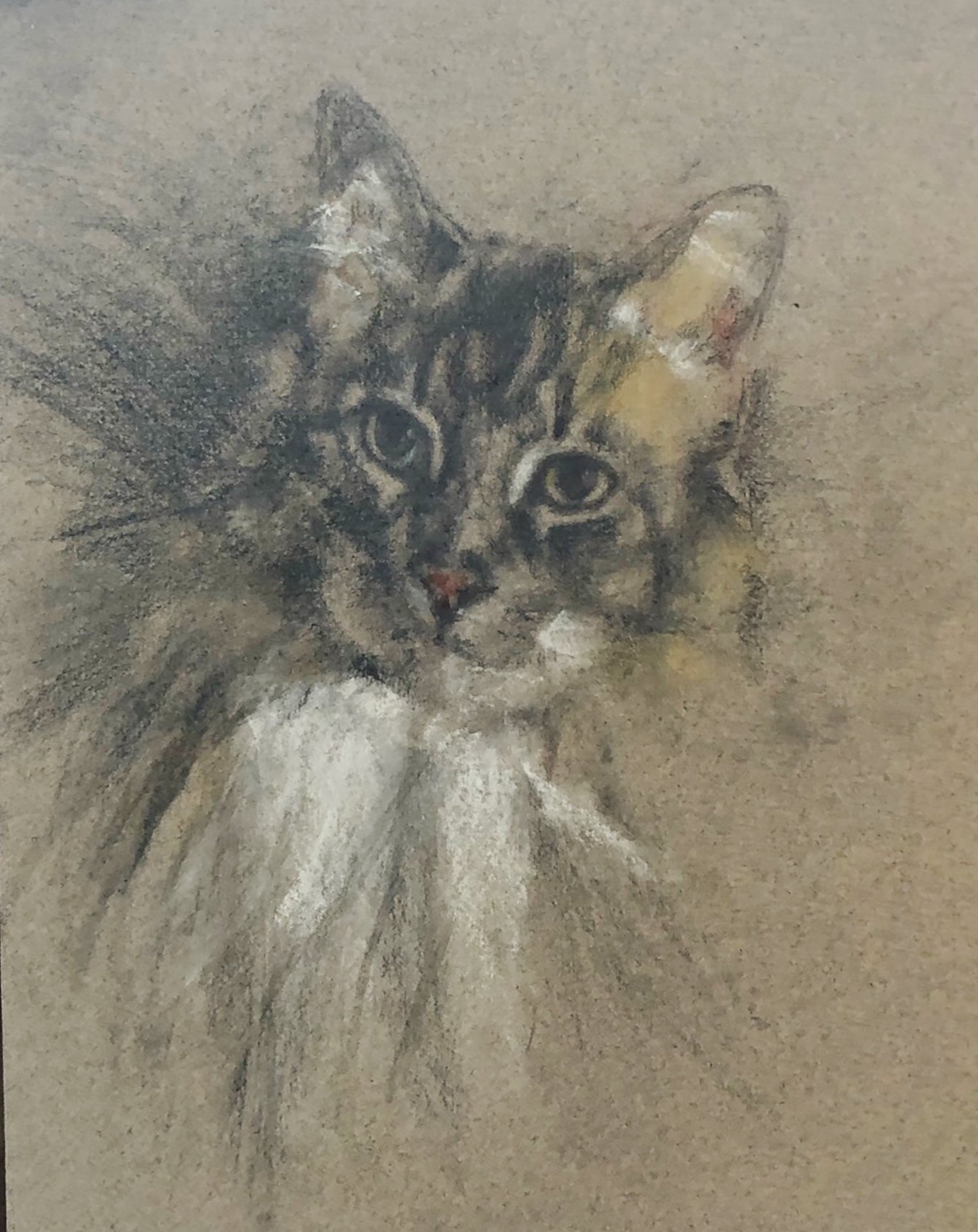 Pet portraits, like this one of Reggie, are available, 9 x 12 inches charcoal, Prismacolor pencils, chalk on Canson paper $175.00. Please reach out to glennheitz@gmail.com if interested. Thank you.