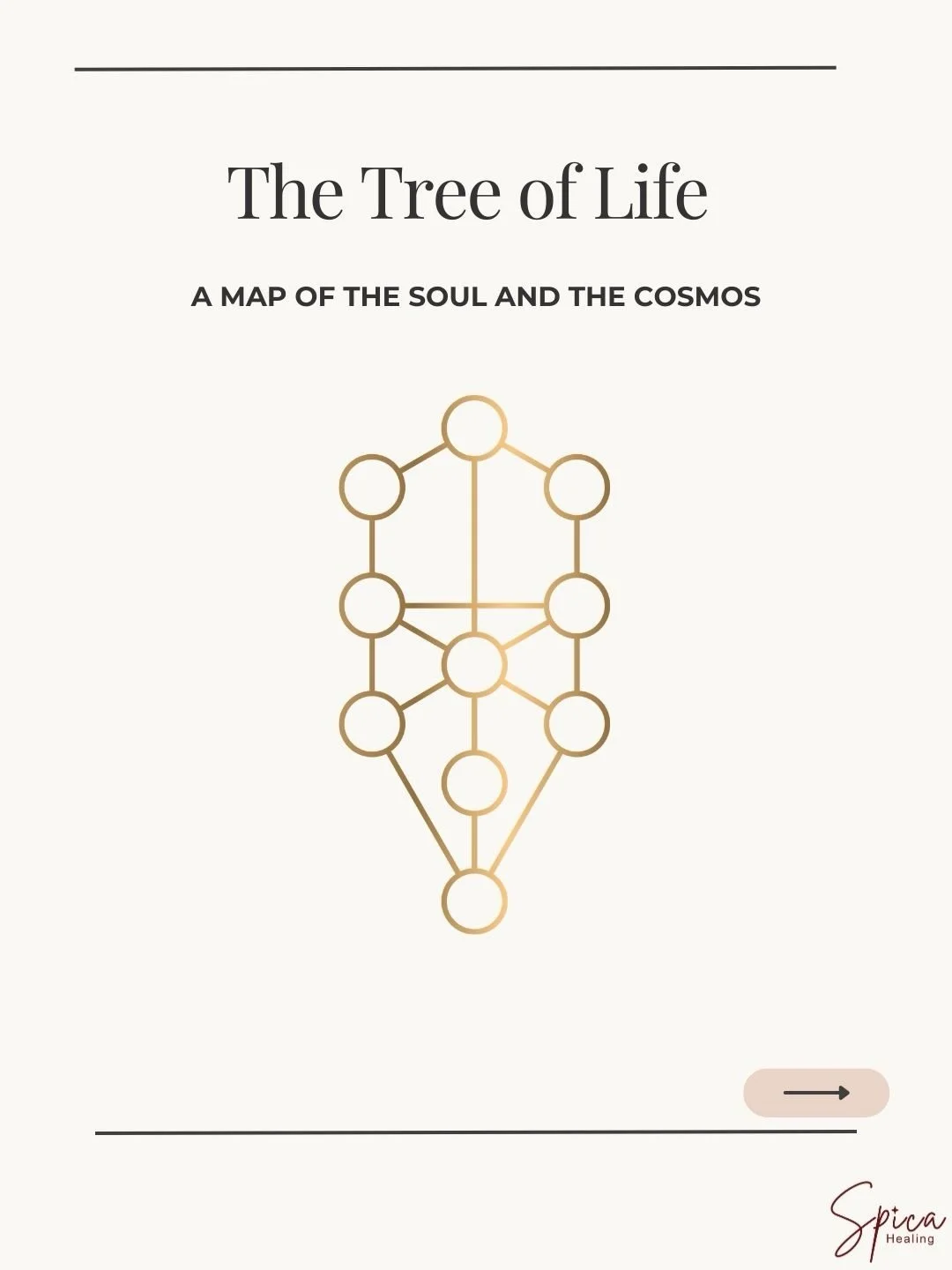 Your soul is born with a divine blueprint, a sacred design that holds your purpose, gifts, relationships and life lessons. Much like The Tree of Life, every point is connected, intentional and meaningful.  Read the full post on the blog (link in bio)