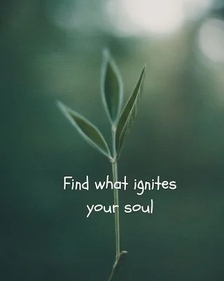 Soul Realignment: Returning to Your True Self