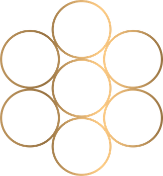 Sacred Geometry The Egg of Life