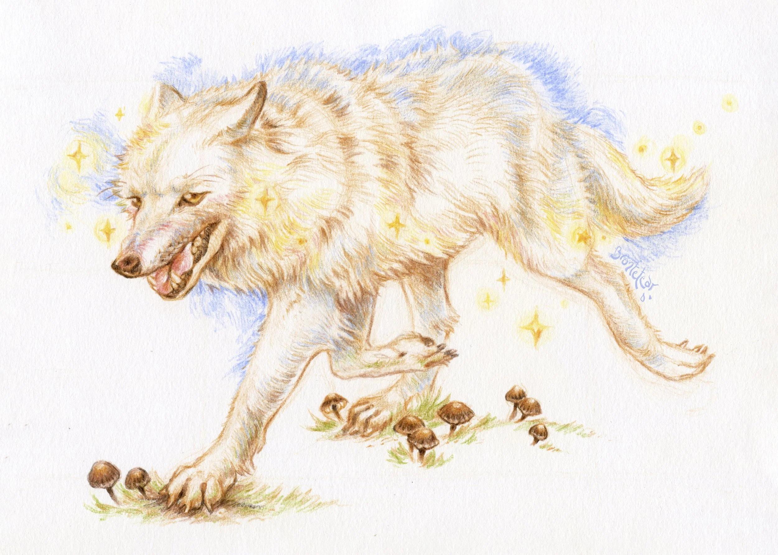 ''Lobo blanco caminando entre setas'' | Lápices de color | A5 | 2025