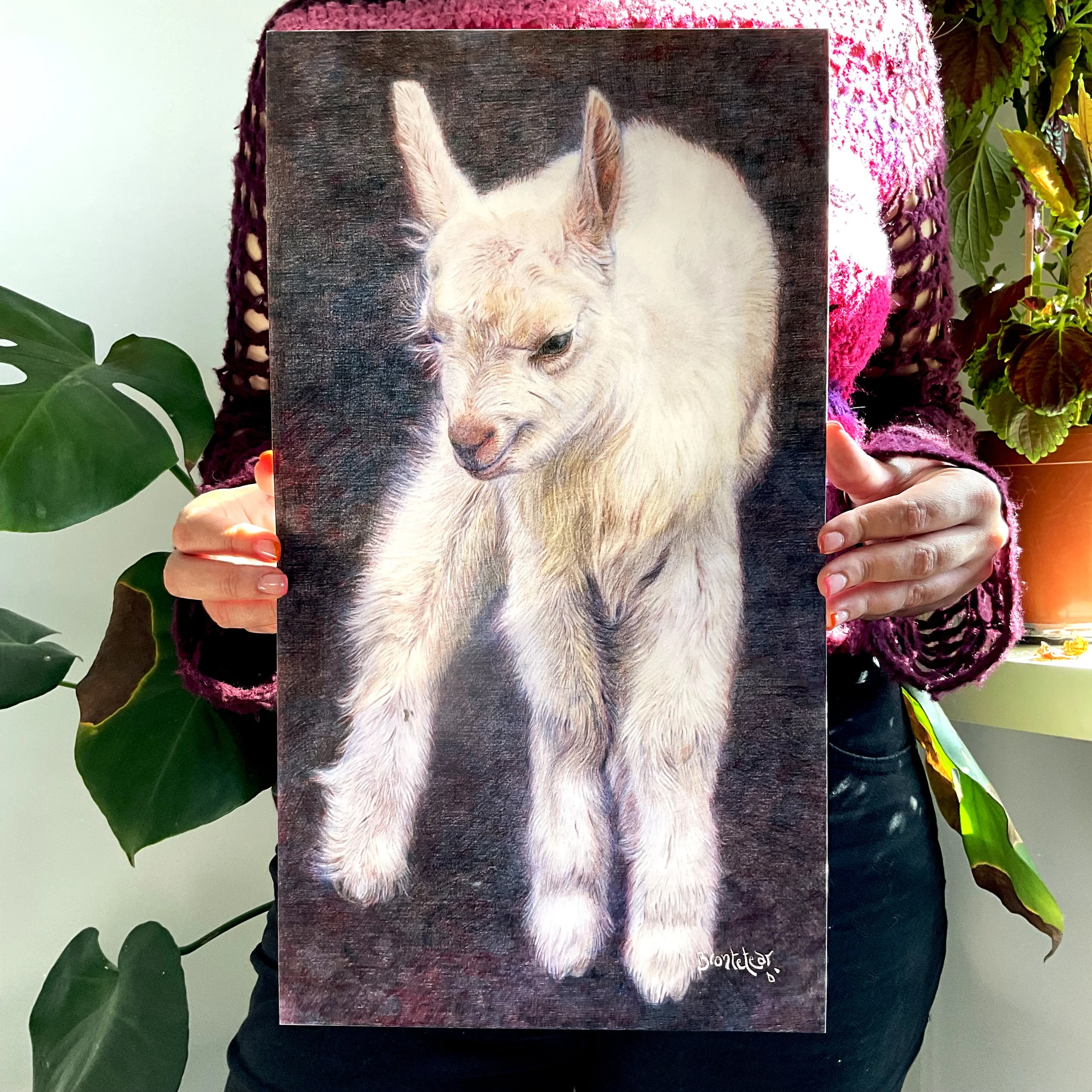 Chivito blanco de orejitas en punta