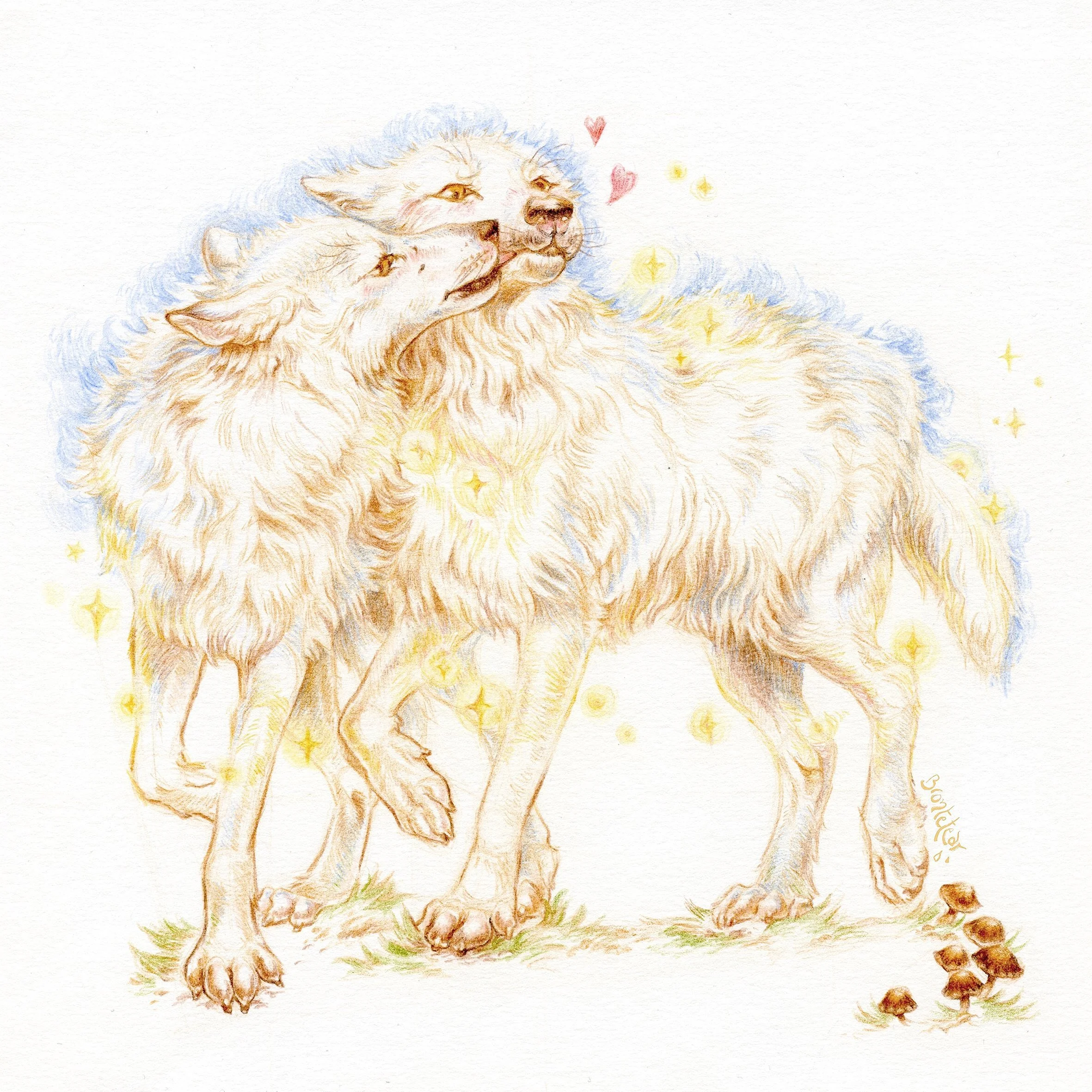 par_lobos_blancos_prints_20x20_signed.jpg