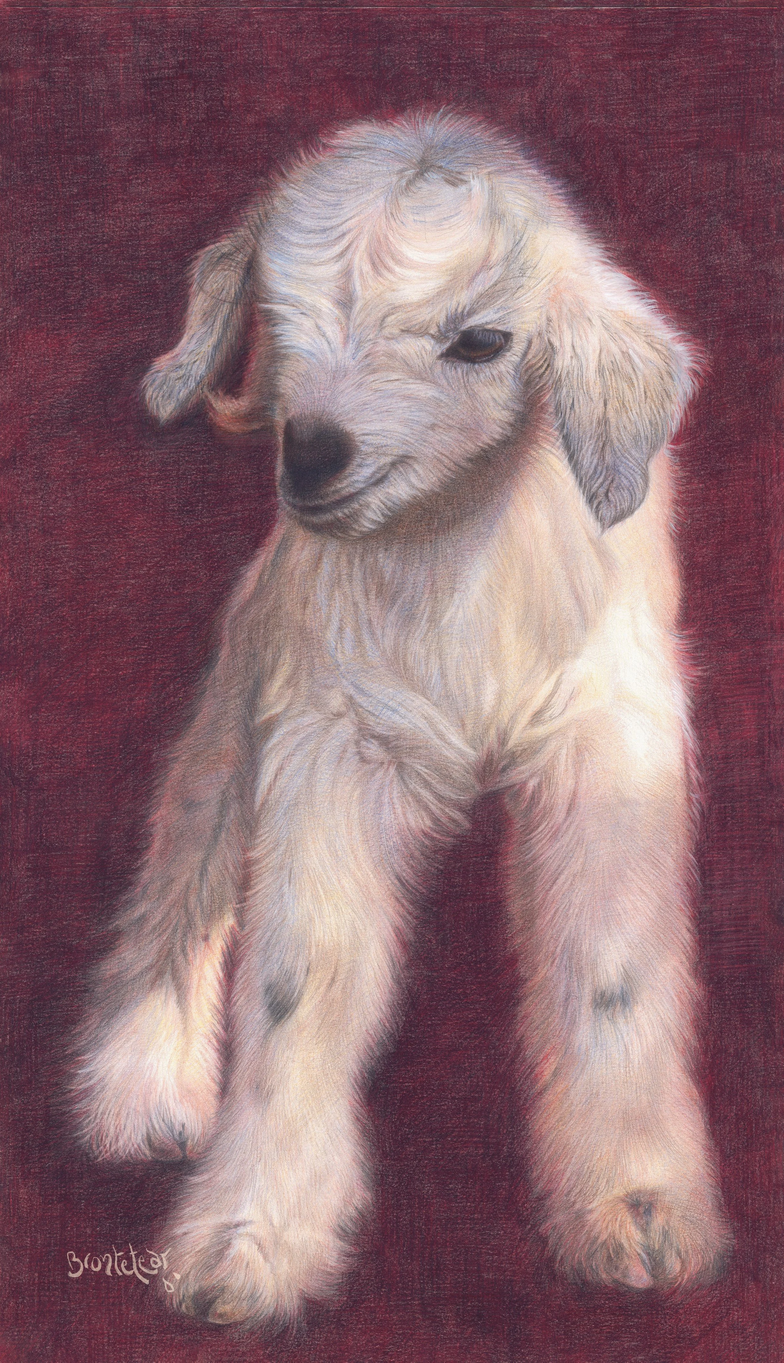 Chivitos Blancos, Díptico 2 - White little goats,  Diptych 2 | Lápices de color | 39,5x70 cm | 2019 