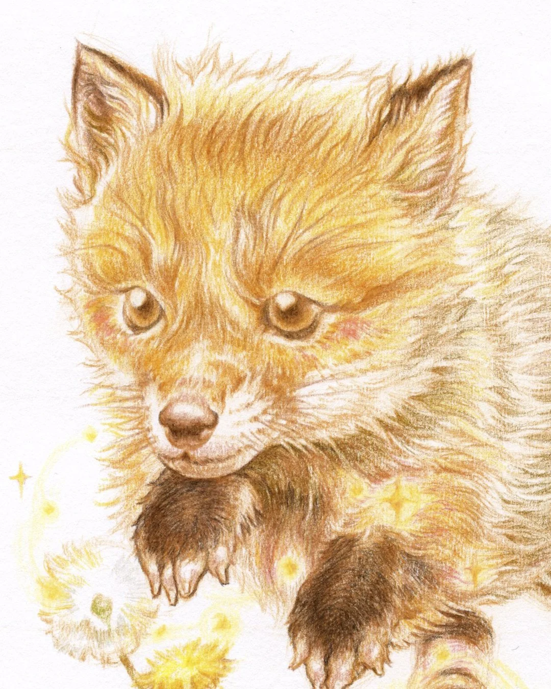 baby fox 1080 x 1350.jpg