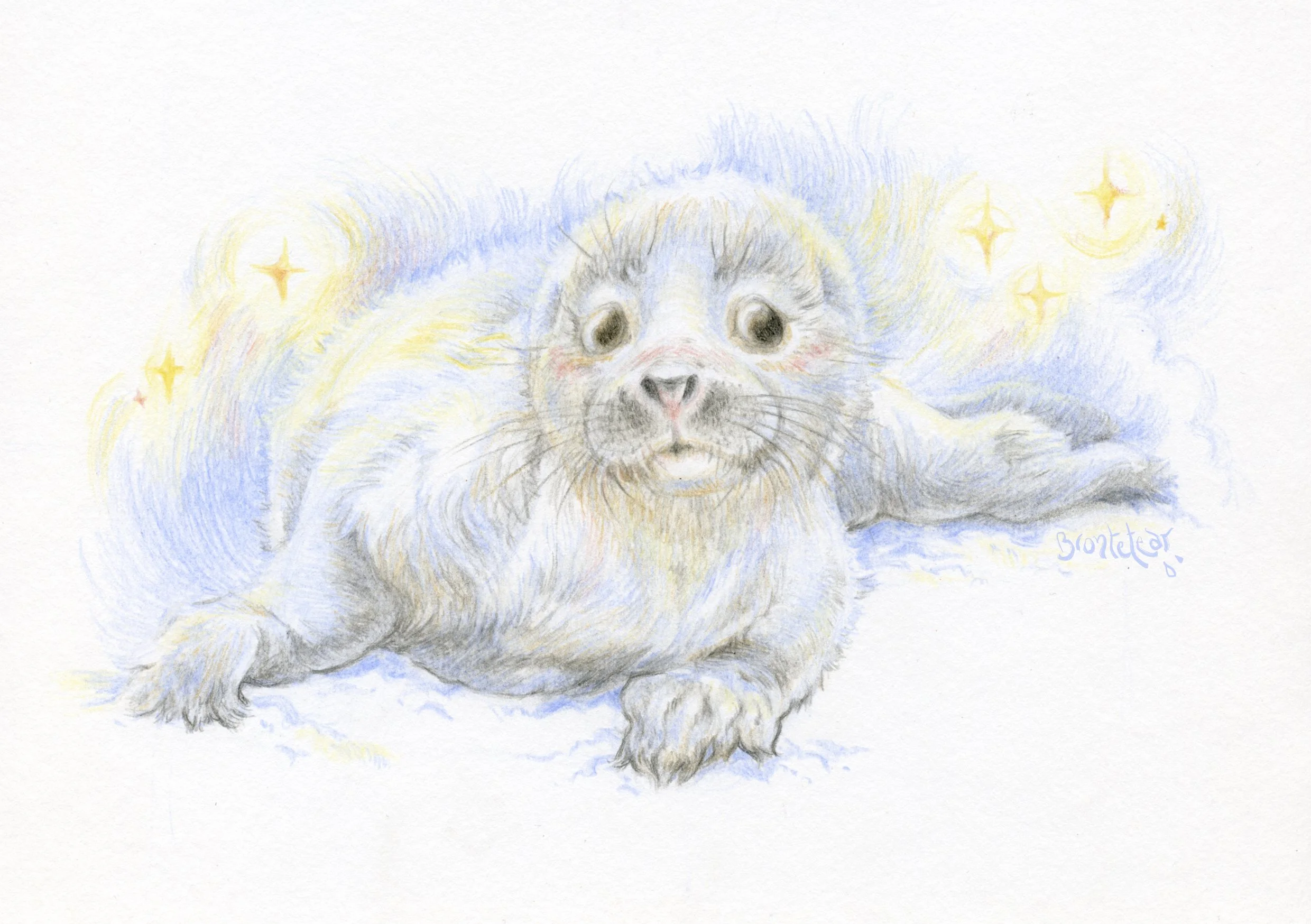 ''Foca blanca adorable'' | Lápices de color | A5 | 2025
