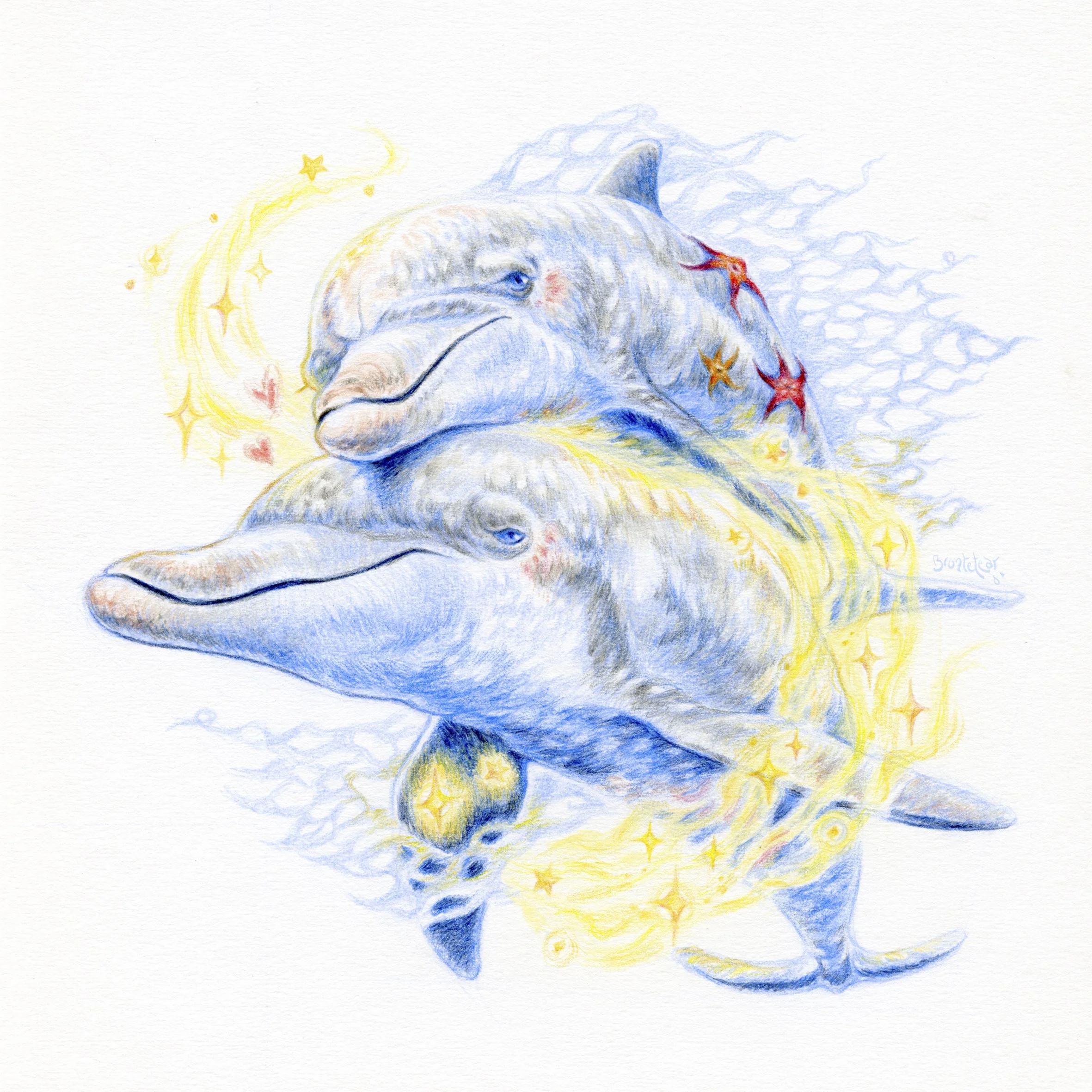 ''Par de delfines rodeados de un aura de estrellas'' | Lápices de color | 20x20 cm | 2025