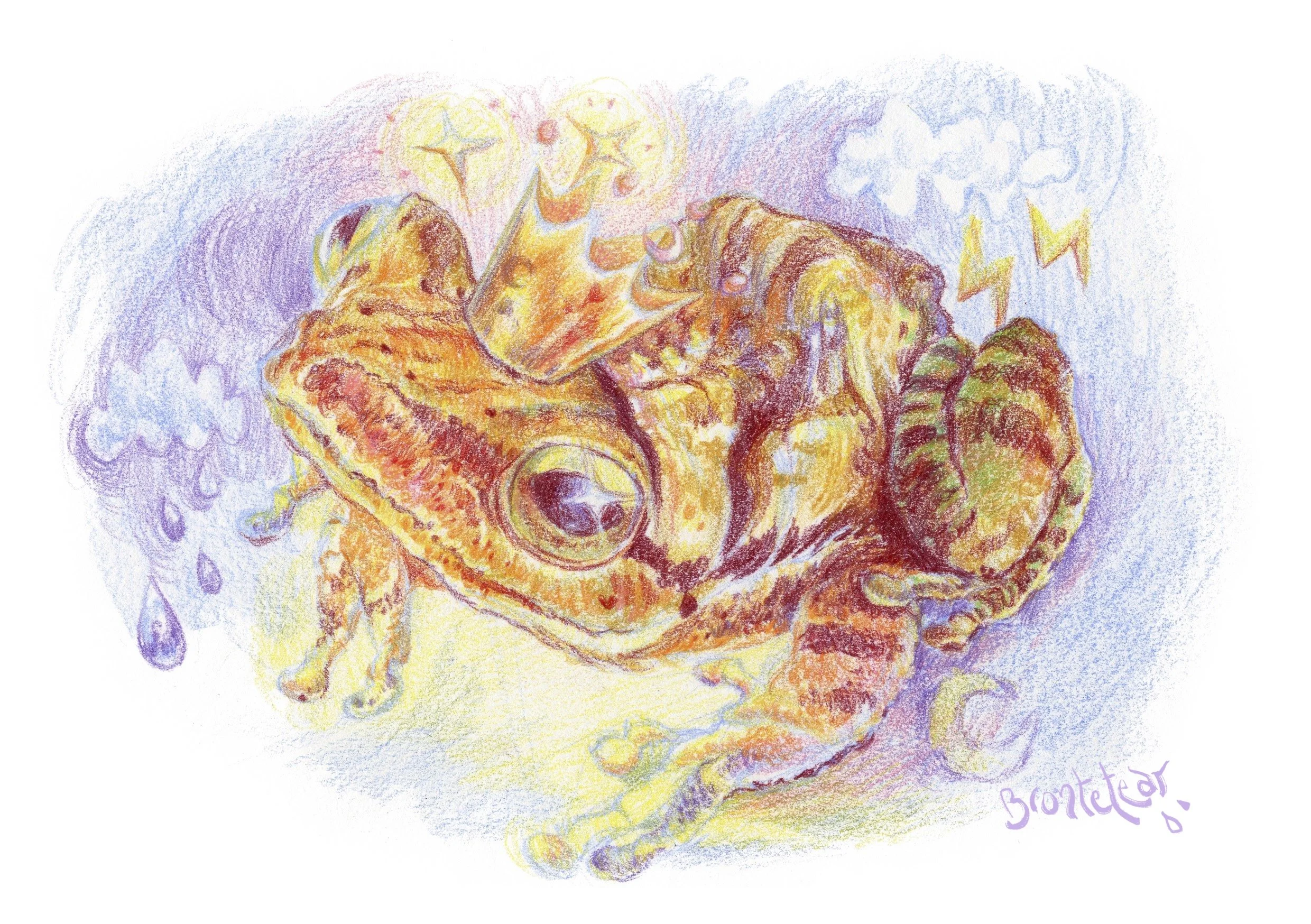 Ranita Coronada Mágica