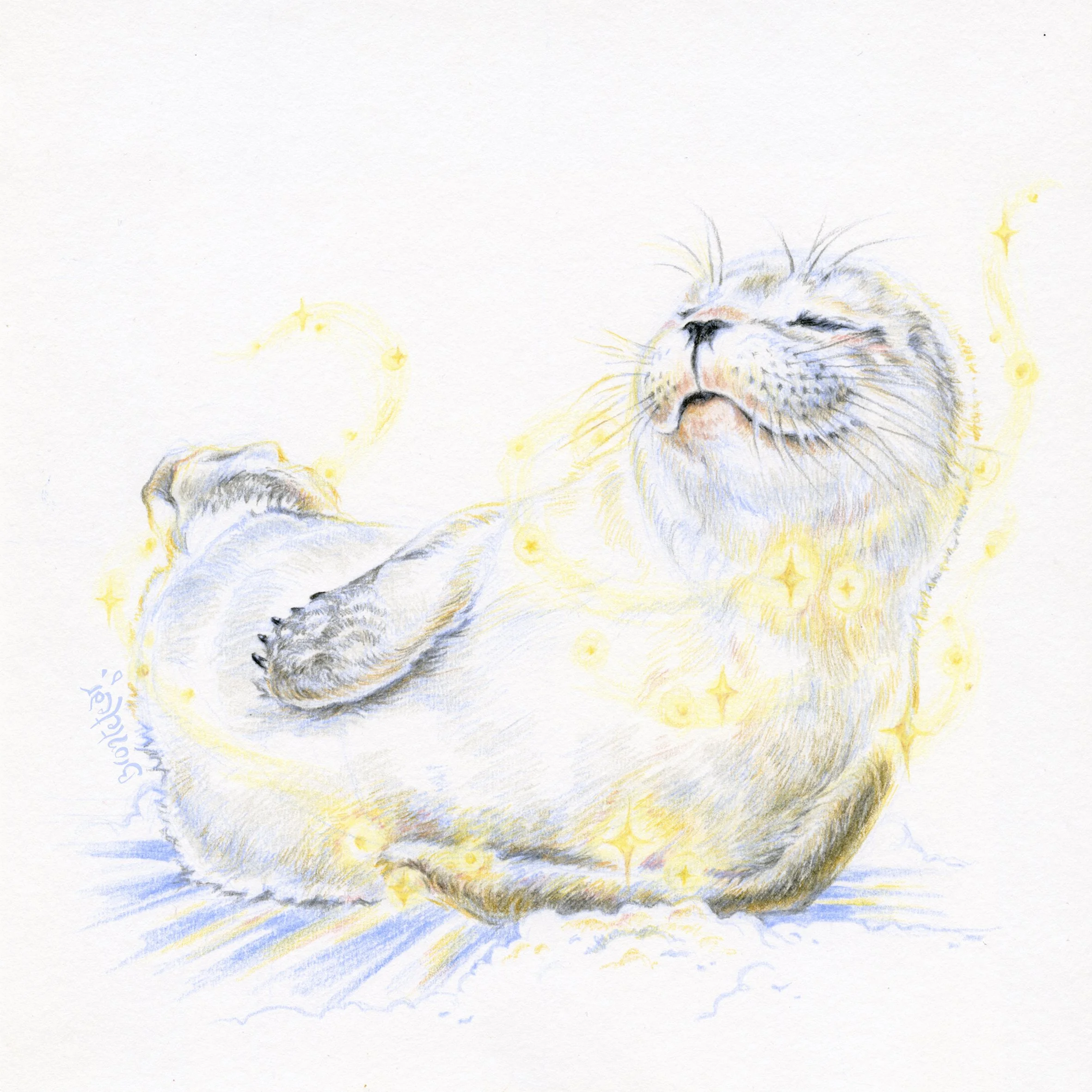 ''Foca blanca risueña entre un aura de luz y estrellas'' | Lápices de color | 20x20 cm | 2025