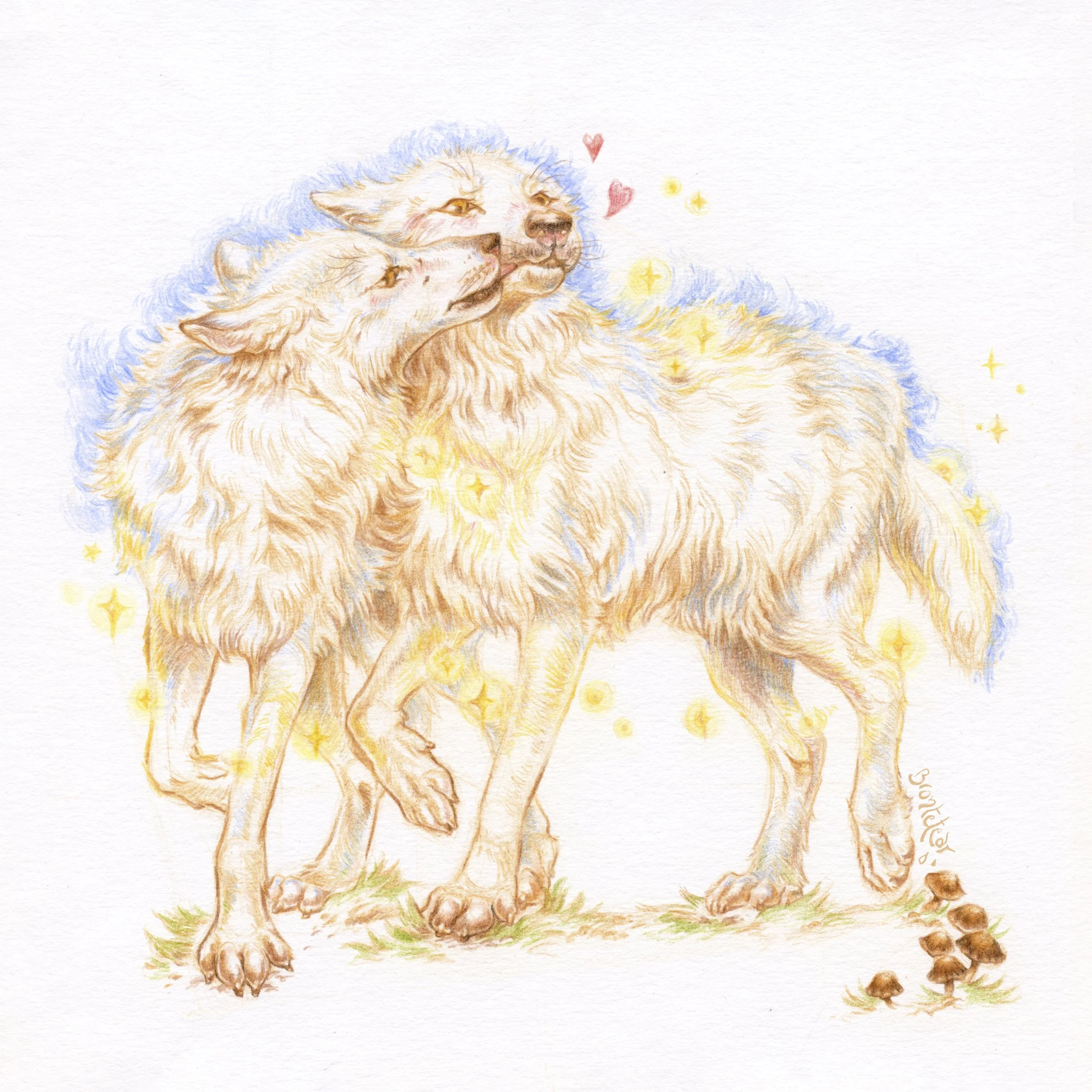 ''Par de lobitos blancos amistosos'' | Lápices de color | 20x20 cm | 2025