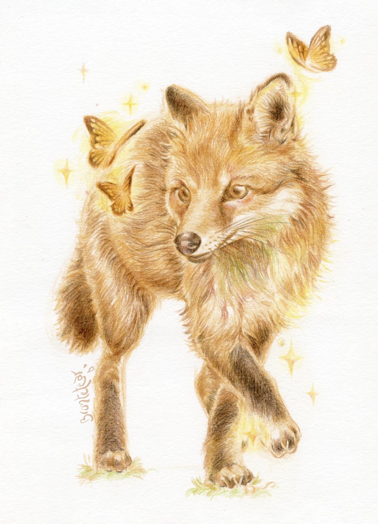 ''Zorrito entre mariposas'' | Lápices de color | A5 | 2025