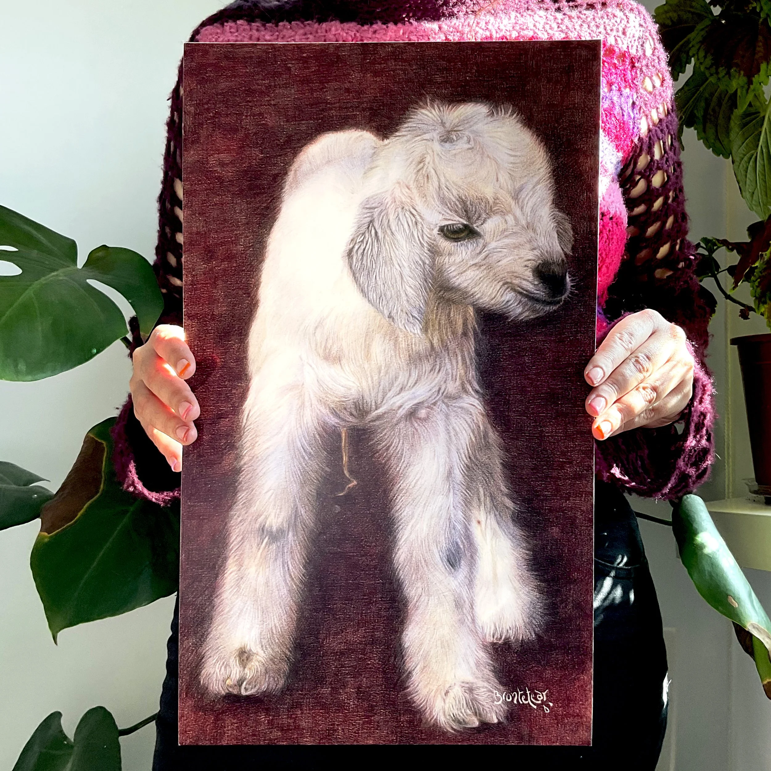 Chivito blanco de orejas caídas y fondo rojo (perfil)