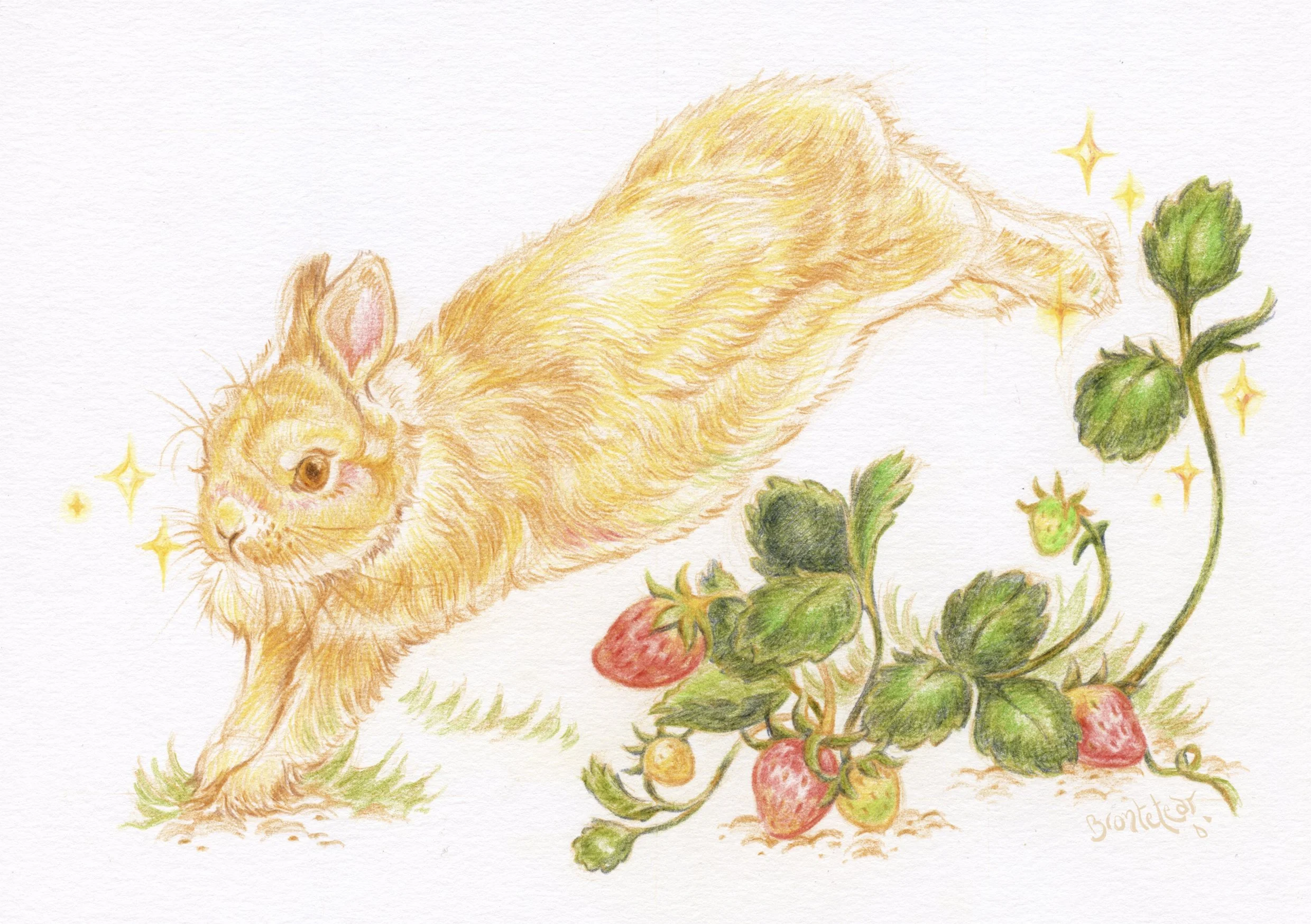 Print A5 Strawberry Lappin Jumping Signed.jpg