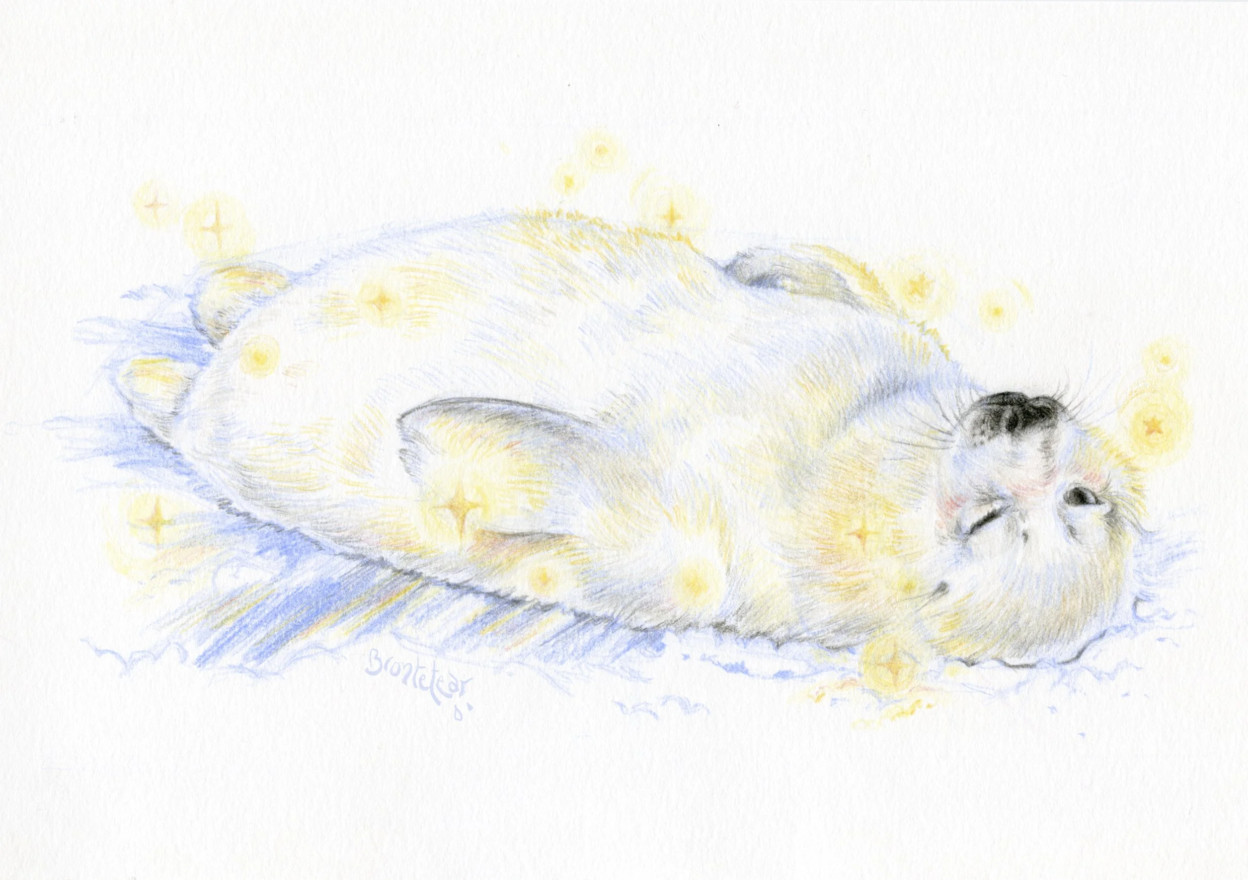 ''Foca blanca tomando el sol sobre la nieve'' | Lápices de color | A5 | 2025