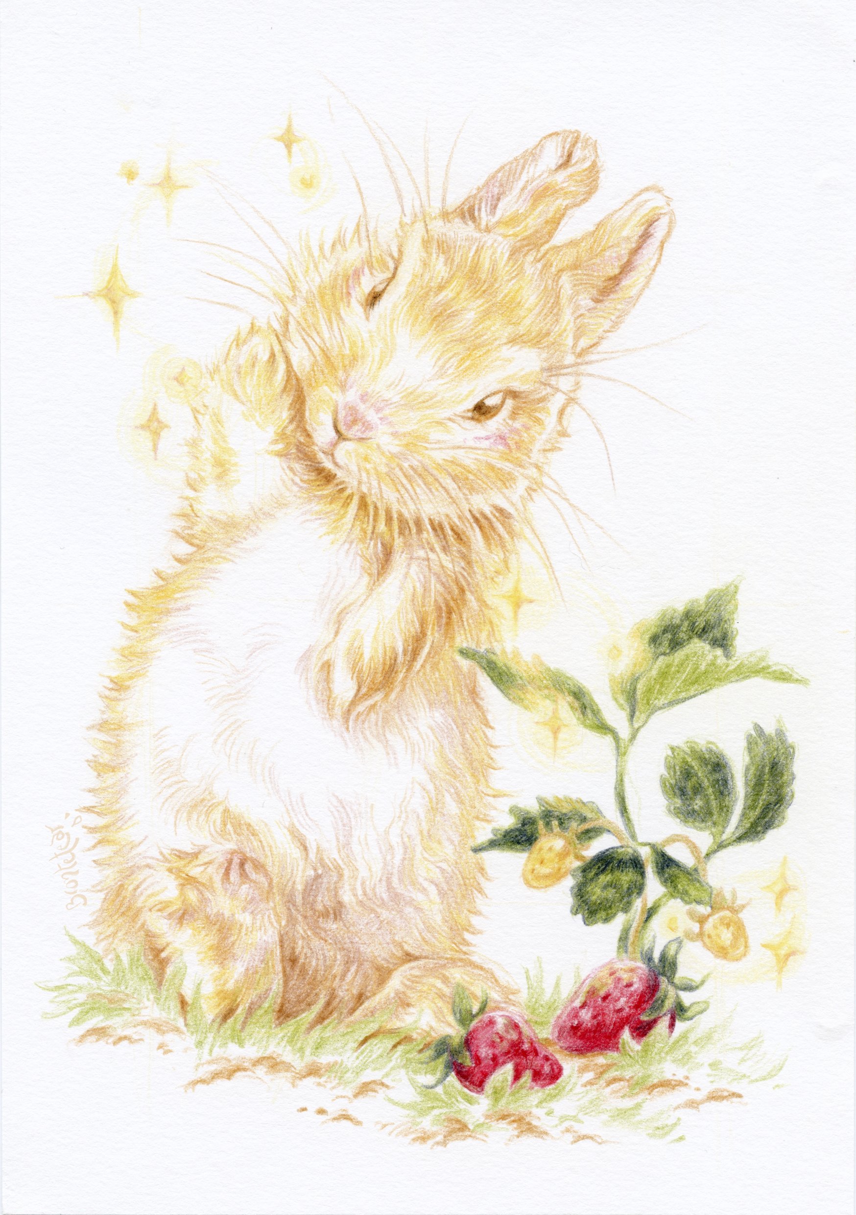 Print A5 Strawberry Lappin Signed.jpg