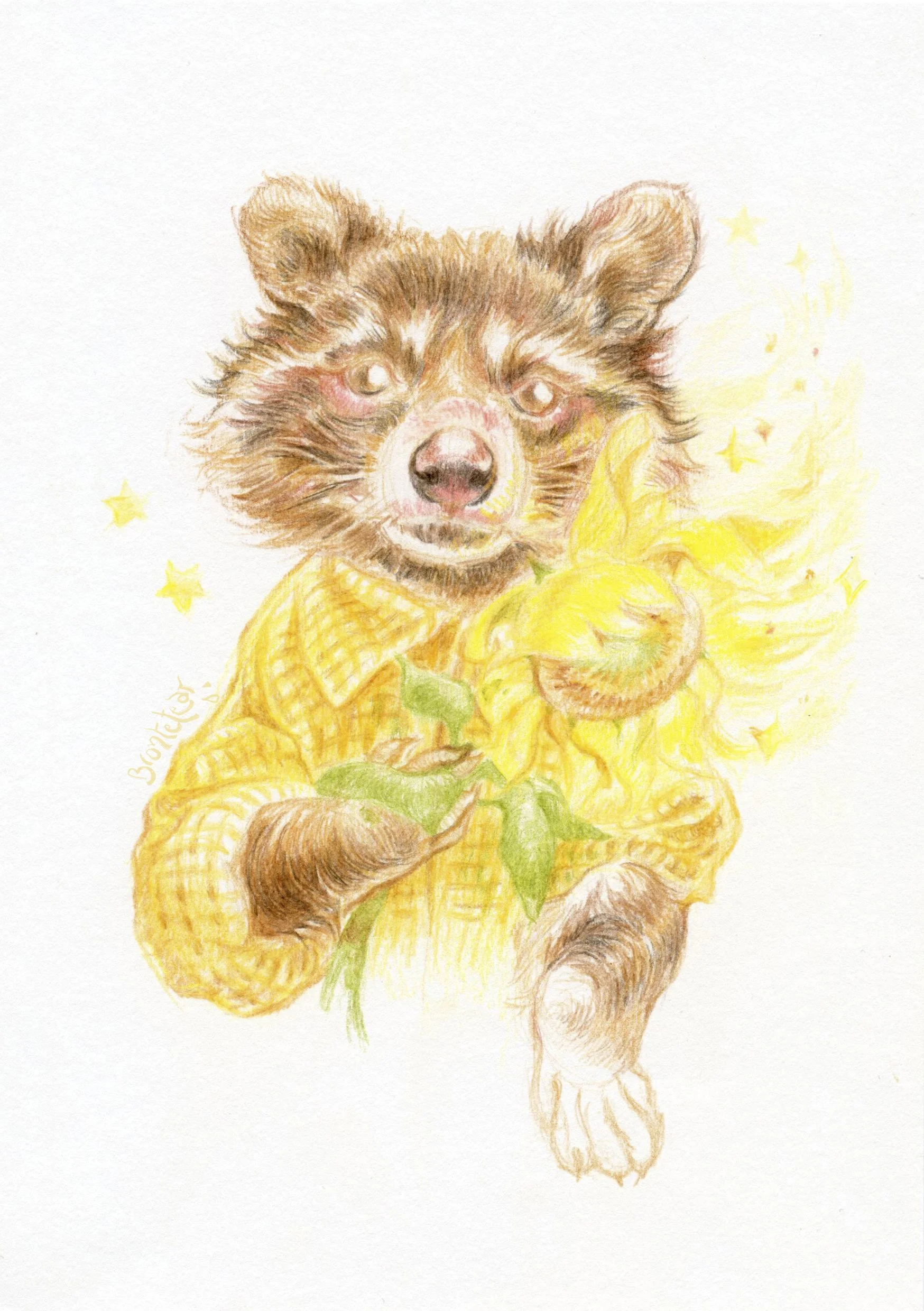 Print A5 Firmado mapache con camisa y girasol (corregidas medidas).jpg