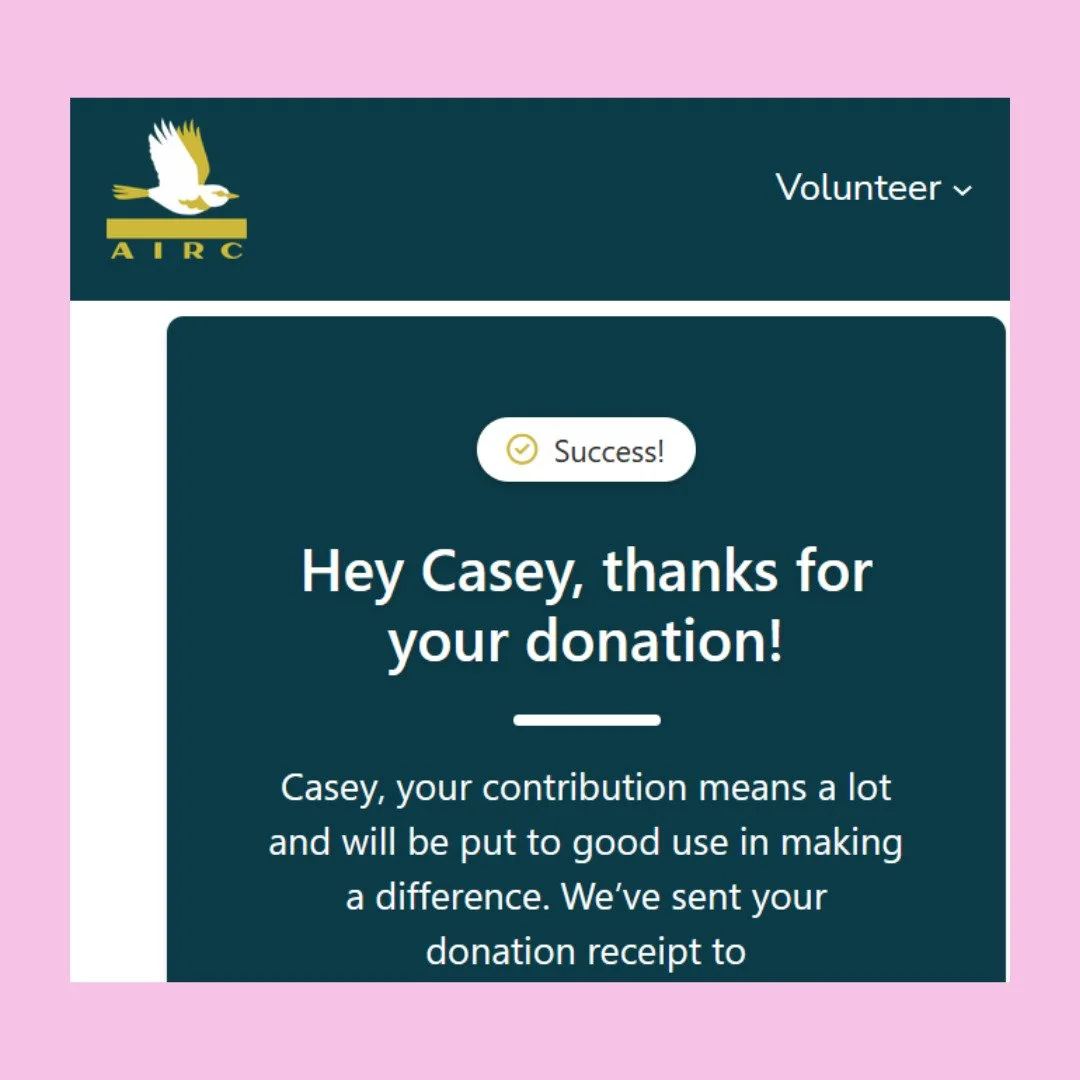 made $20 from my art this week, donated it to Minnesota Freedom Fund &amp; Athens Immigrant Rights Coalition today. snowed in and my back pain is flaring up, but every little bit counts-- please donate if you can't volunteer / be out on the ground. &