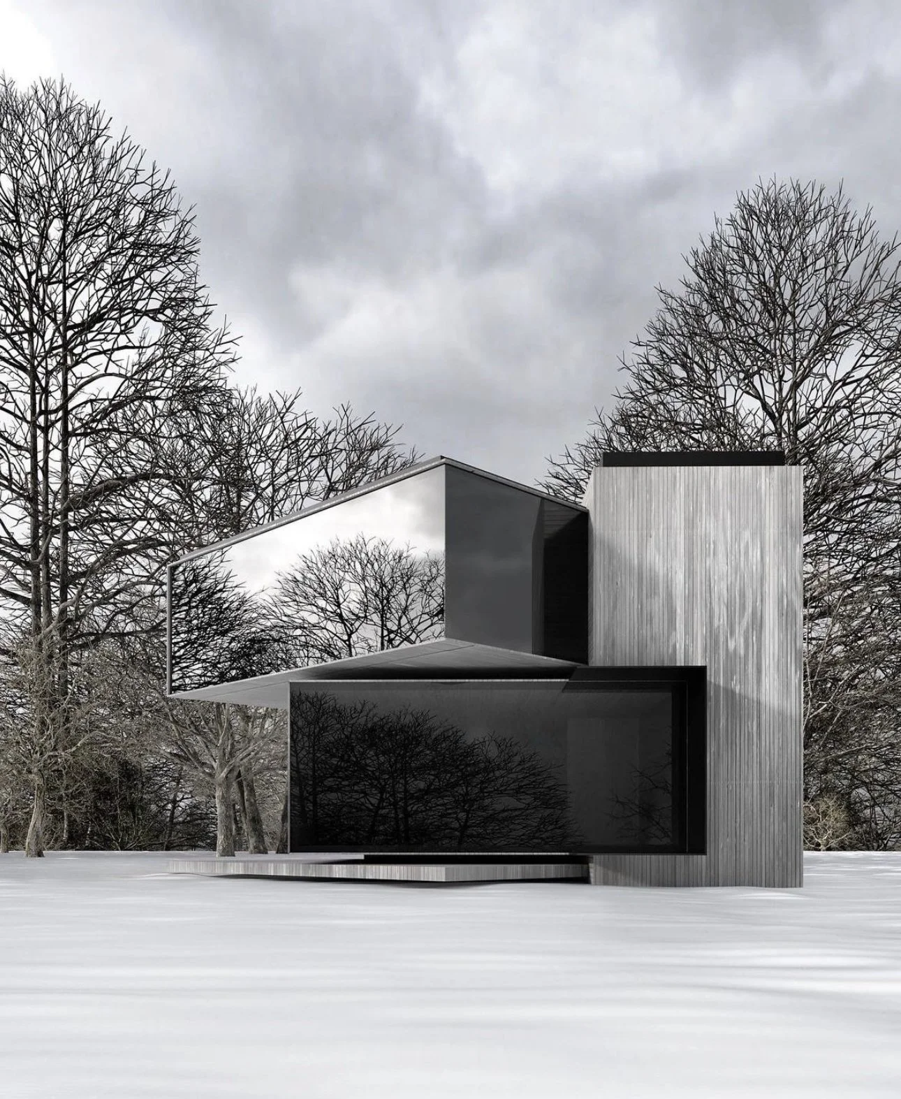 Modern house with angular design, large black glass windows, and silver exterior, set against leafless trees and overcast gray sky during winter. Choose between silver, black, white or copper colors.
