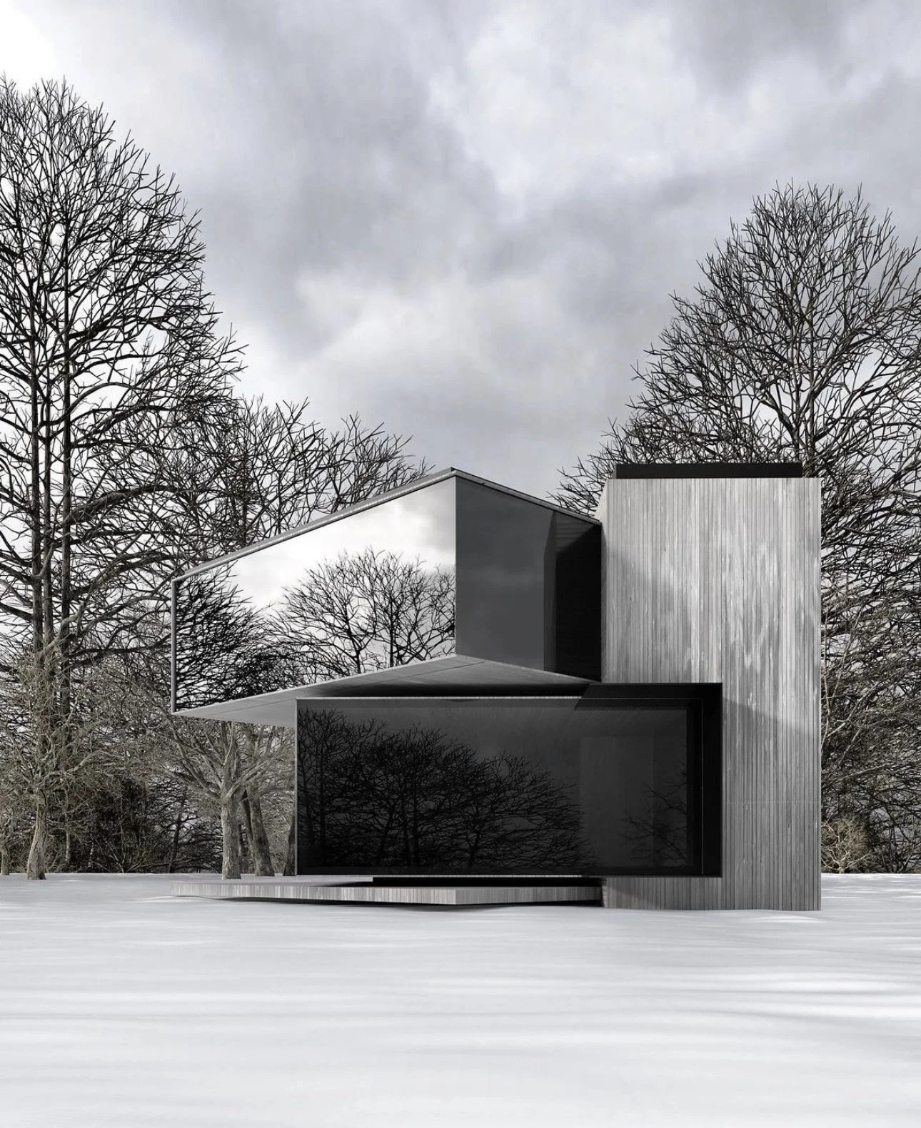Modern house with angular design, large black glass windows, and silver exterior, set against leafless trees and overcast gray sky during winter. Choose between silver, black, white or copper colors.