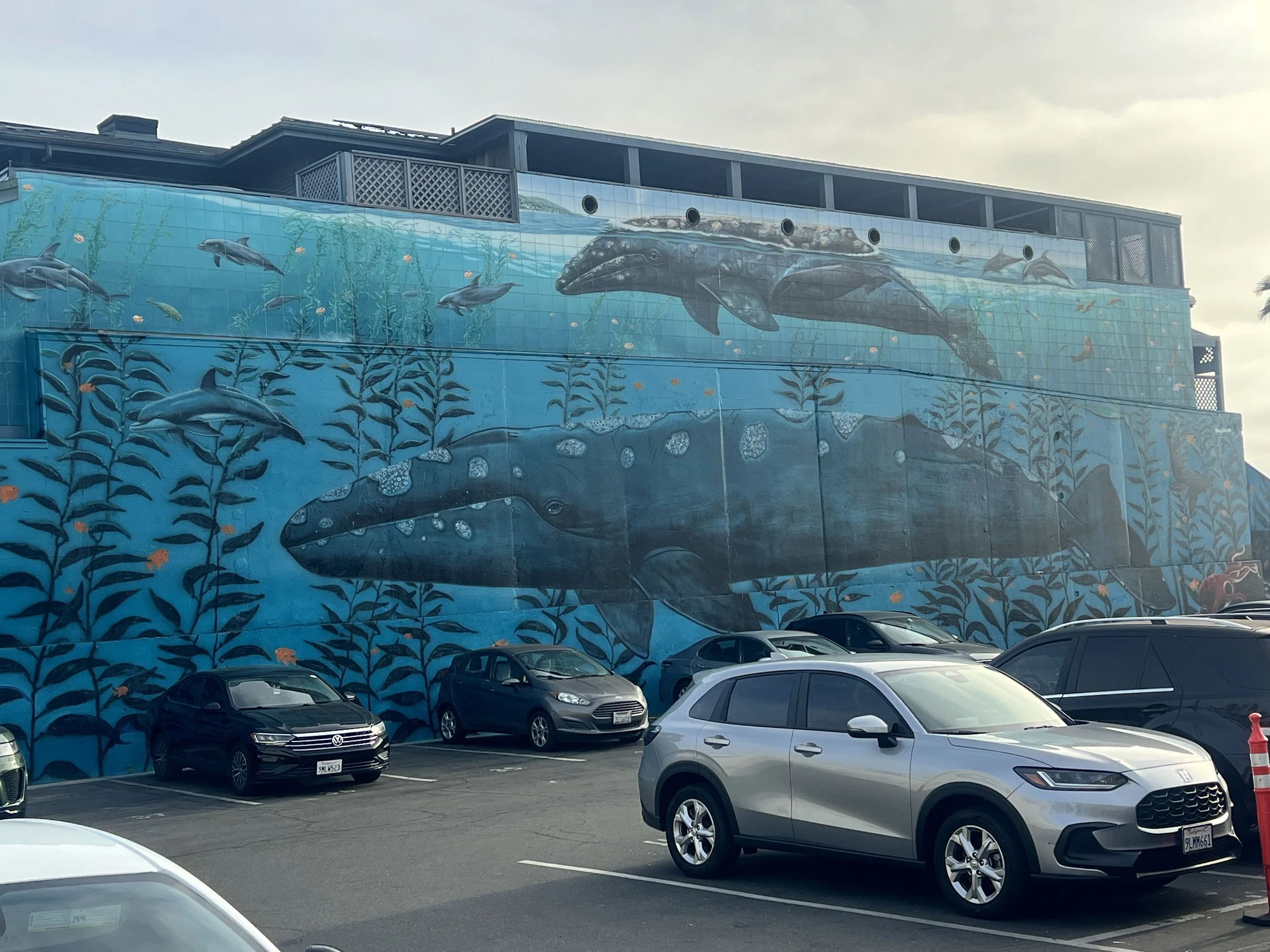 The Best Public Art in Laguna Beach: 12 Must-See Sculptures, Murals &amp; Hidden Gems