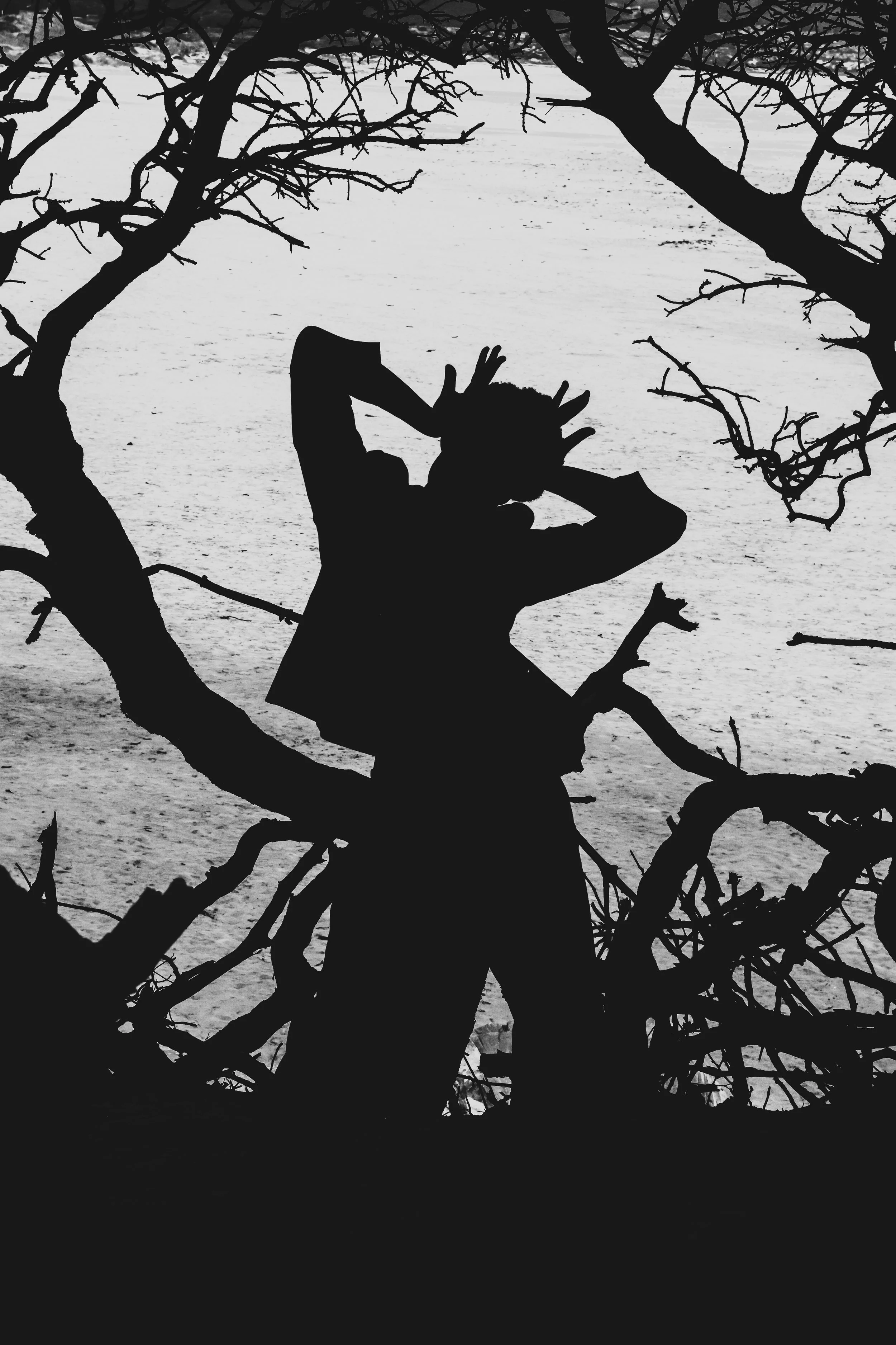 Silhouette of a person with dreadlocks standing among tree branches by a body of water.