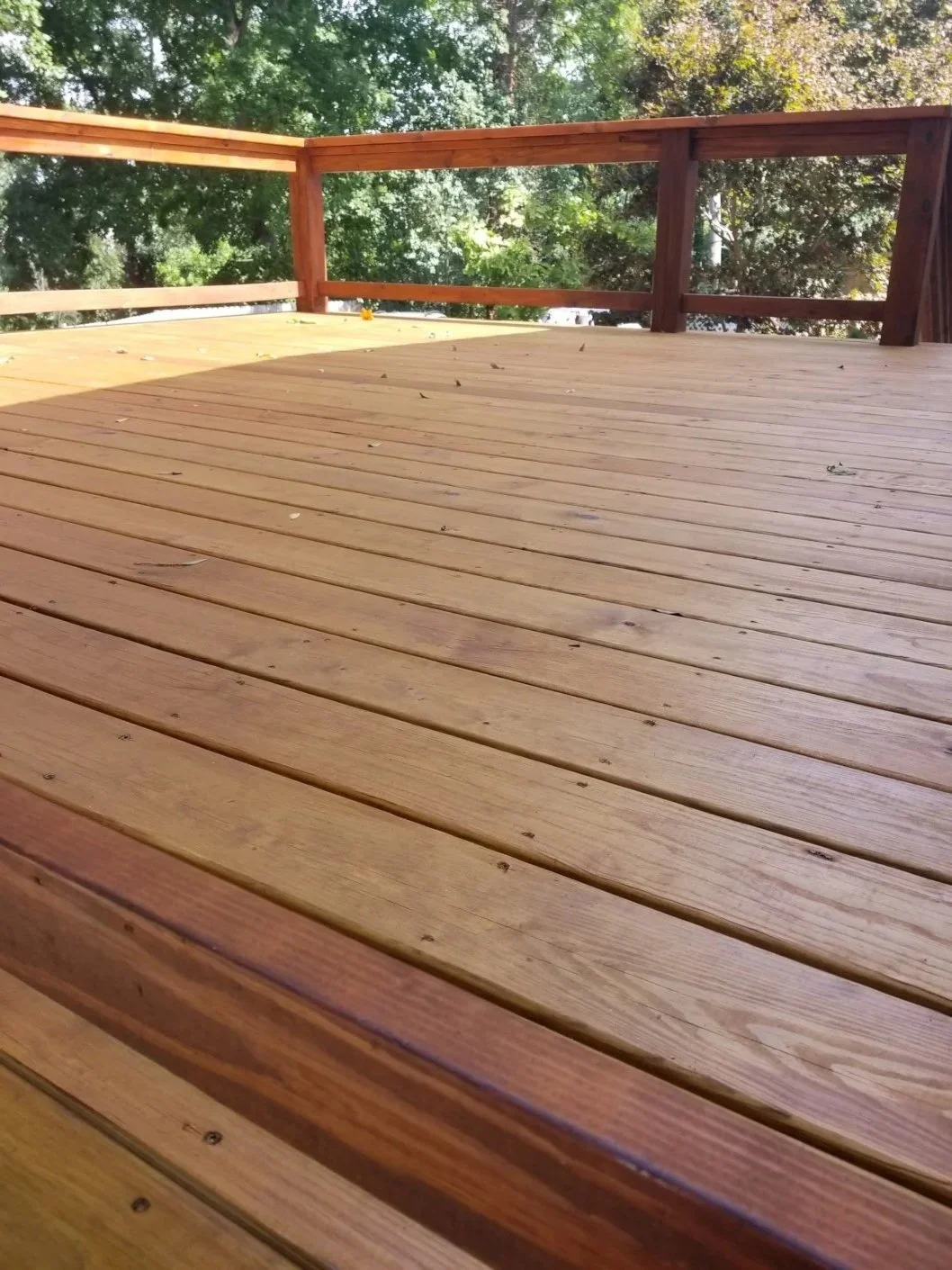 Wooden deck with railing, outdoors surrounded by trees and greenery.