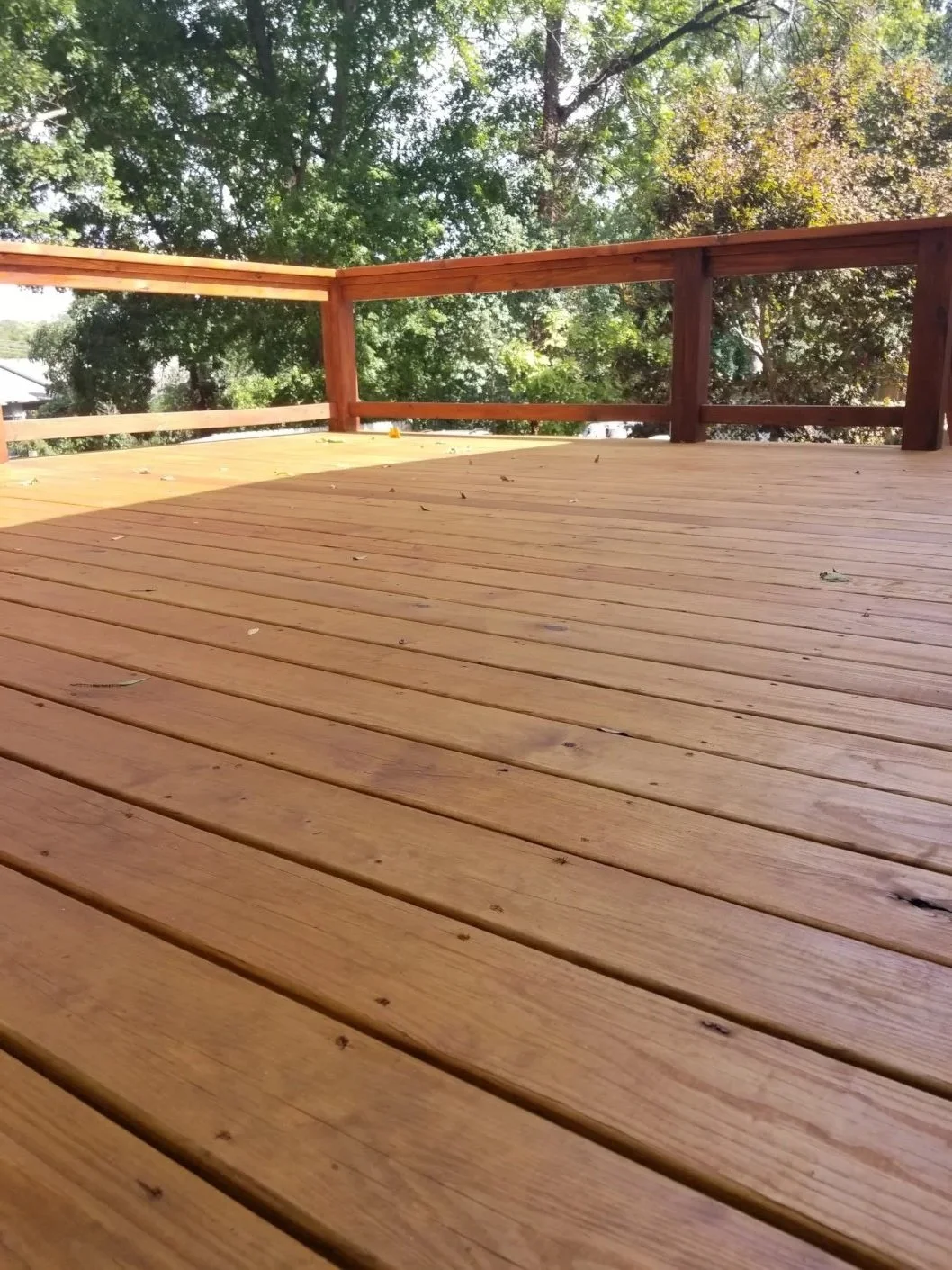 Sunlit wooden deck with a railing, overlooking trees with green foliage.