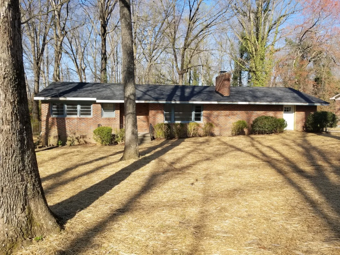 A single-story brick house with a black shingled roof, several windows, bushes in front, and a white door on the right side, surrounded by large trees casting shadows on the yard and house.